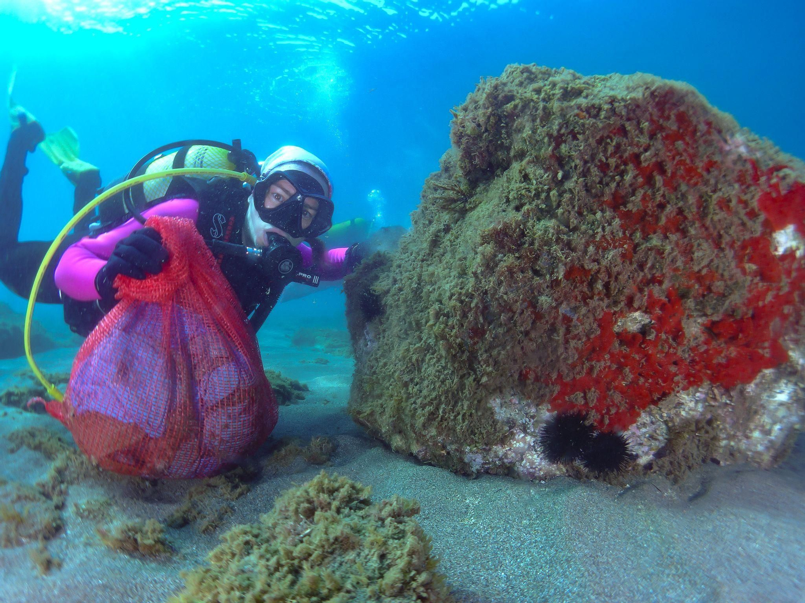 Uno de los buzos participantes en la actividad.