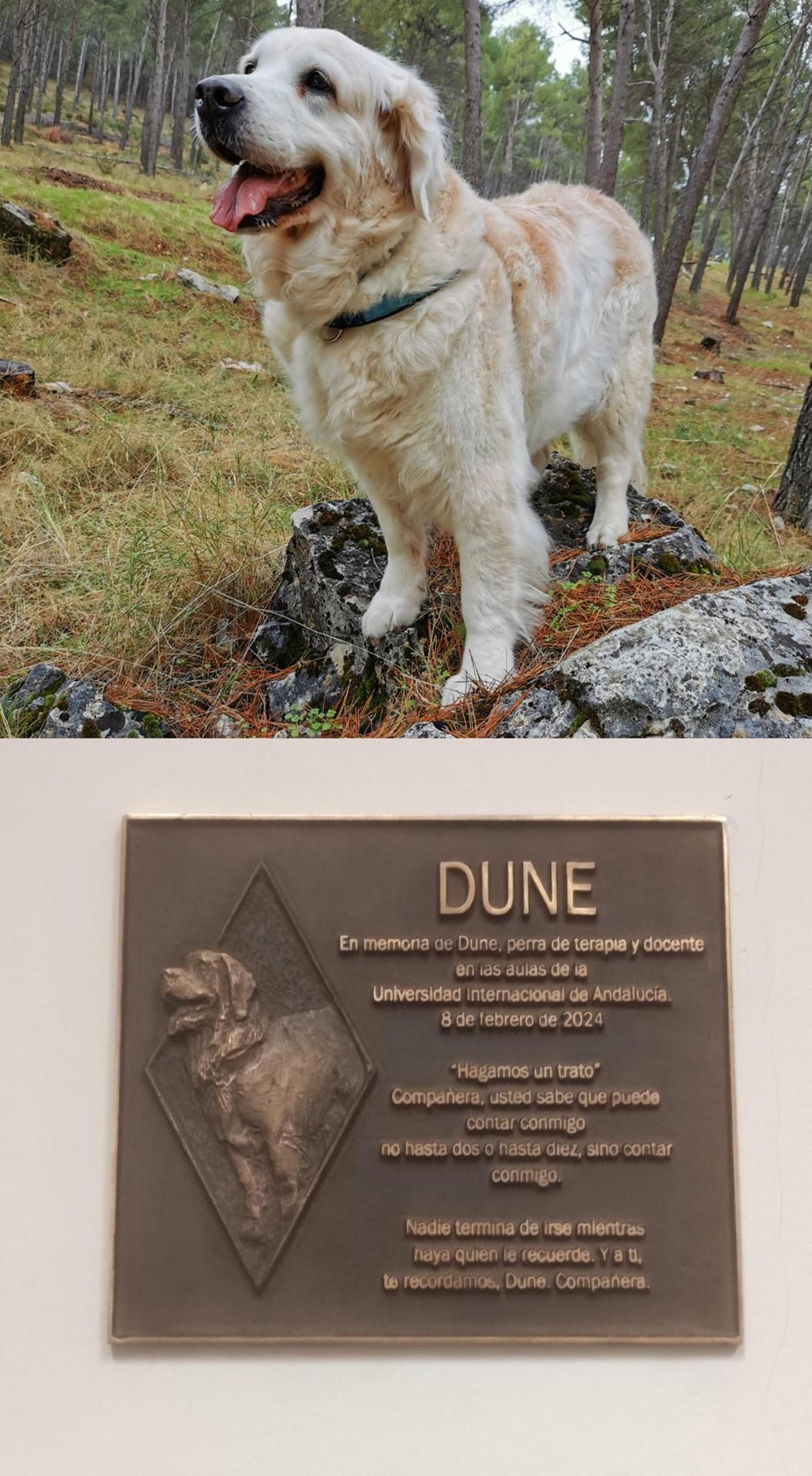 Placa de homenaje a Dune.