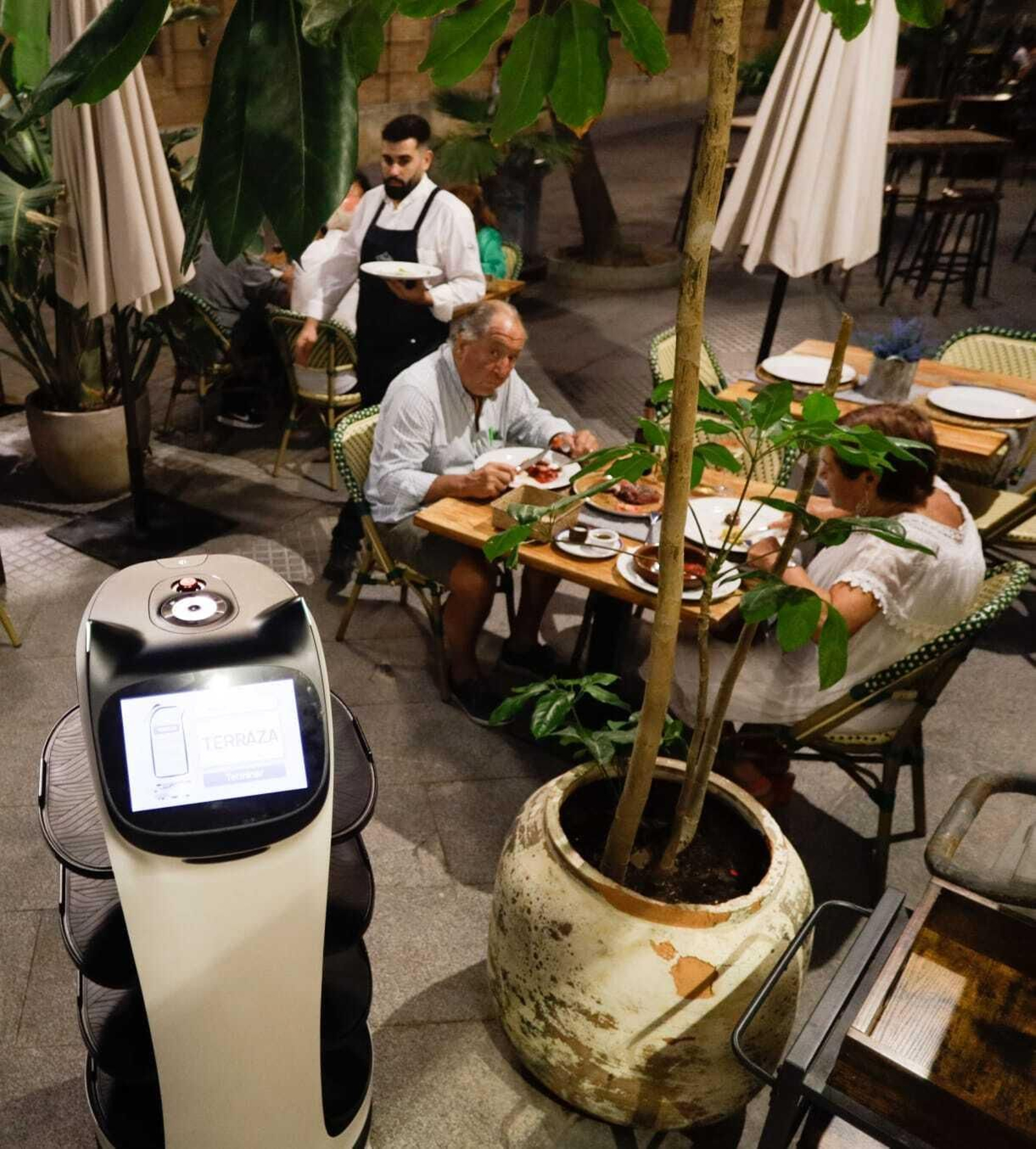 Así es el primer camarero robot de Cádiz