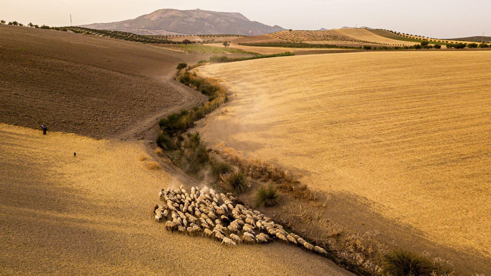 Fotografía reconocida con el Premio Especial del Jurado del concurso de 2024
