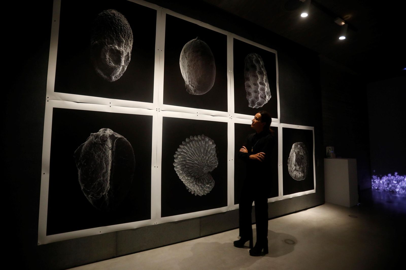 Los artistas residentes del C3A muestran sus obras