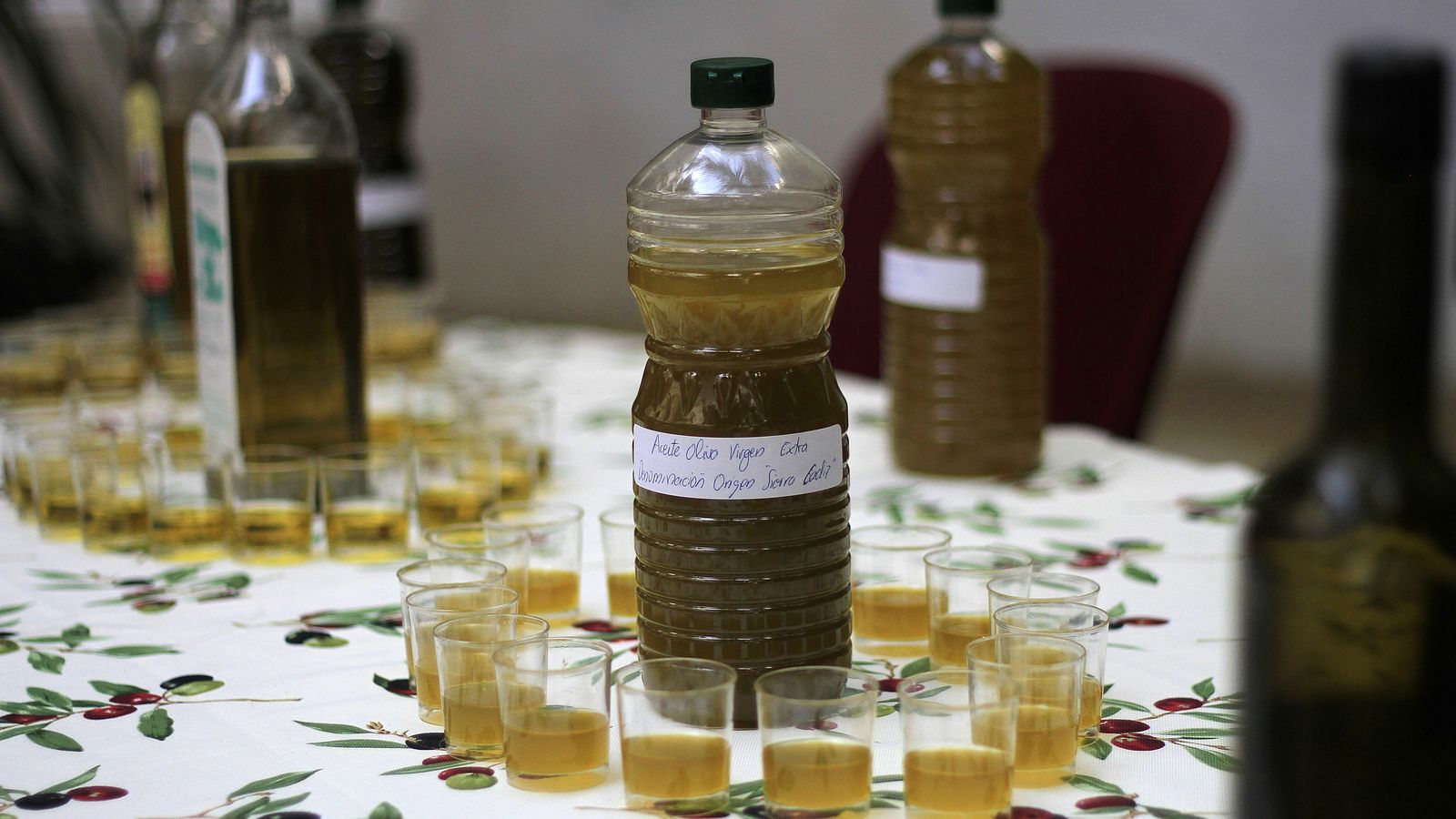 Aceites dispuestos para una cata.