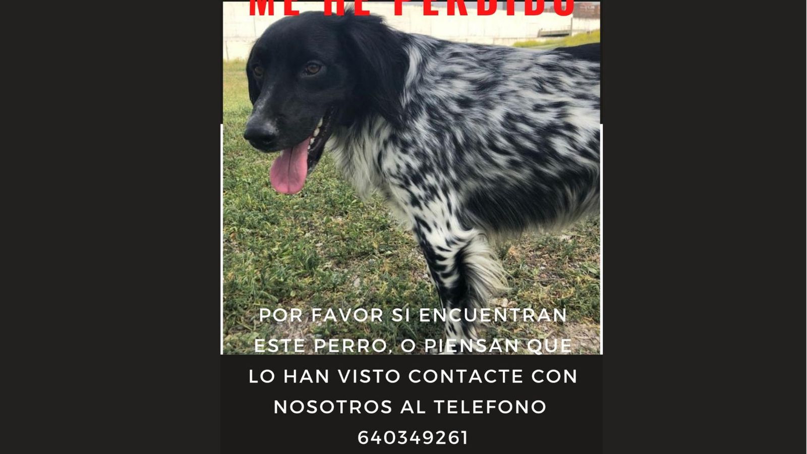 Cartel difundido por la familia