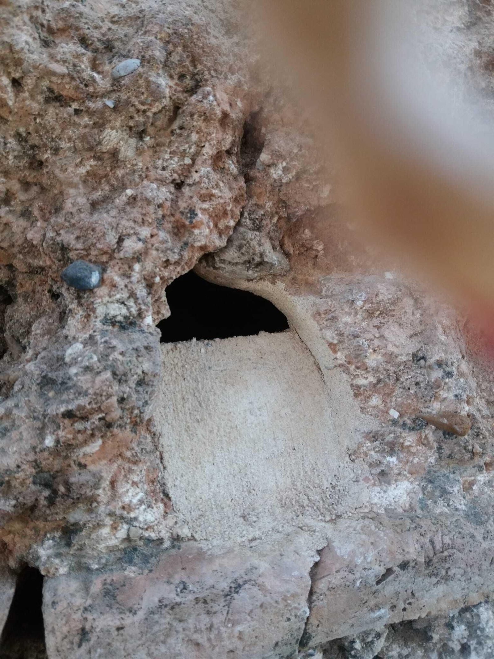 Procedimiento para semisellar un nido dejando hueco para el vencejo.