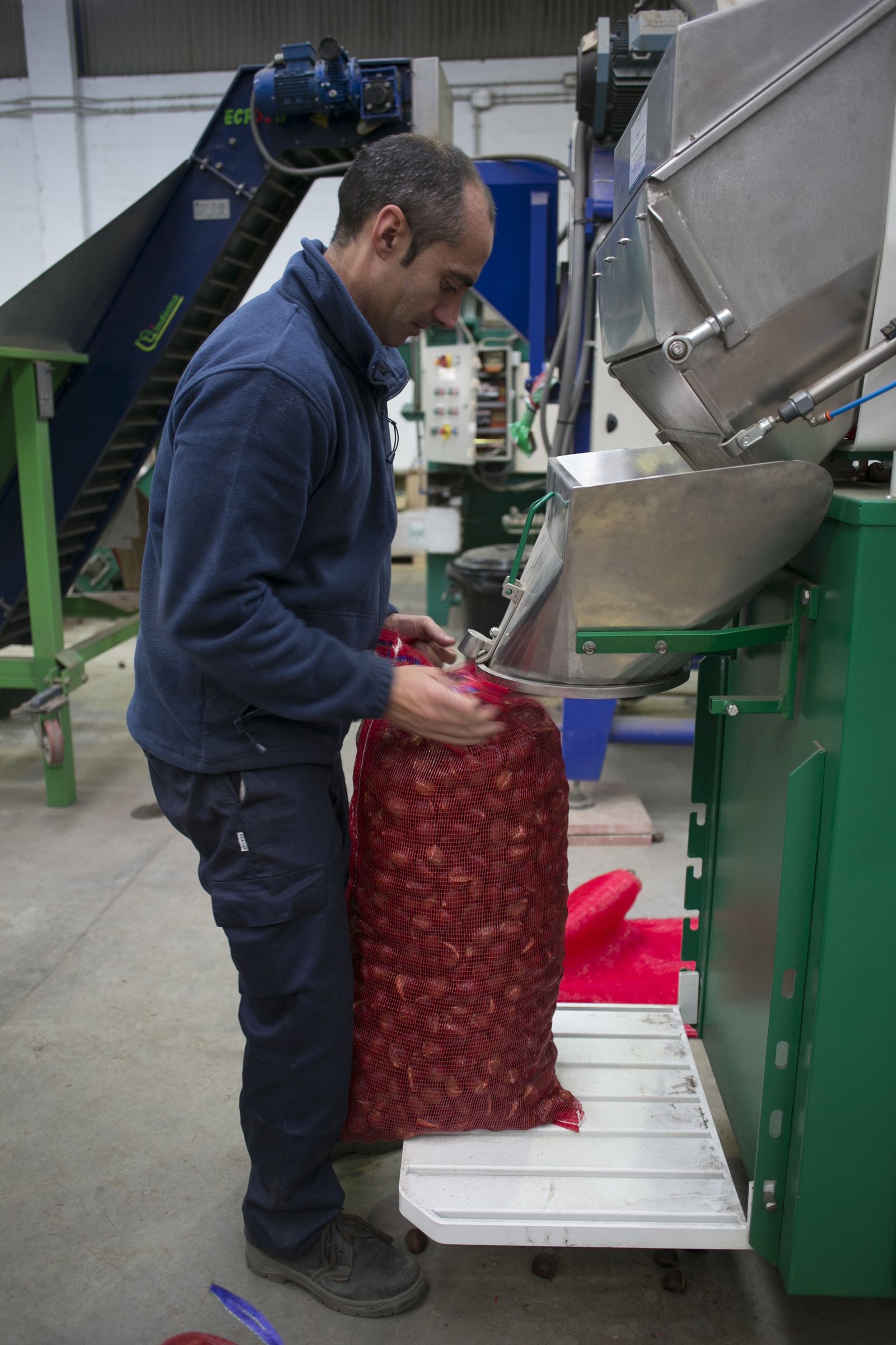 Temporada de castañas en el Valle del Genal
