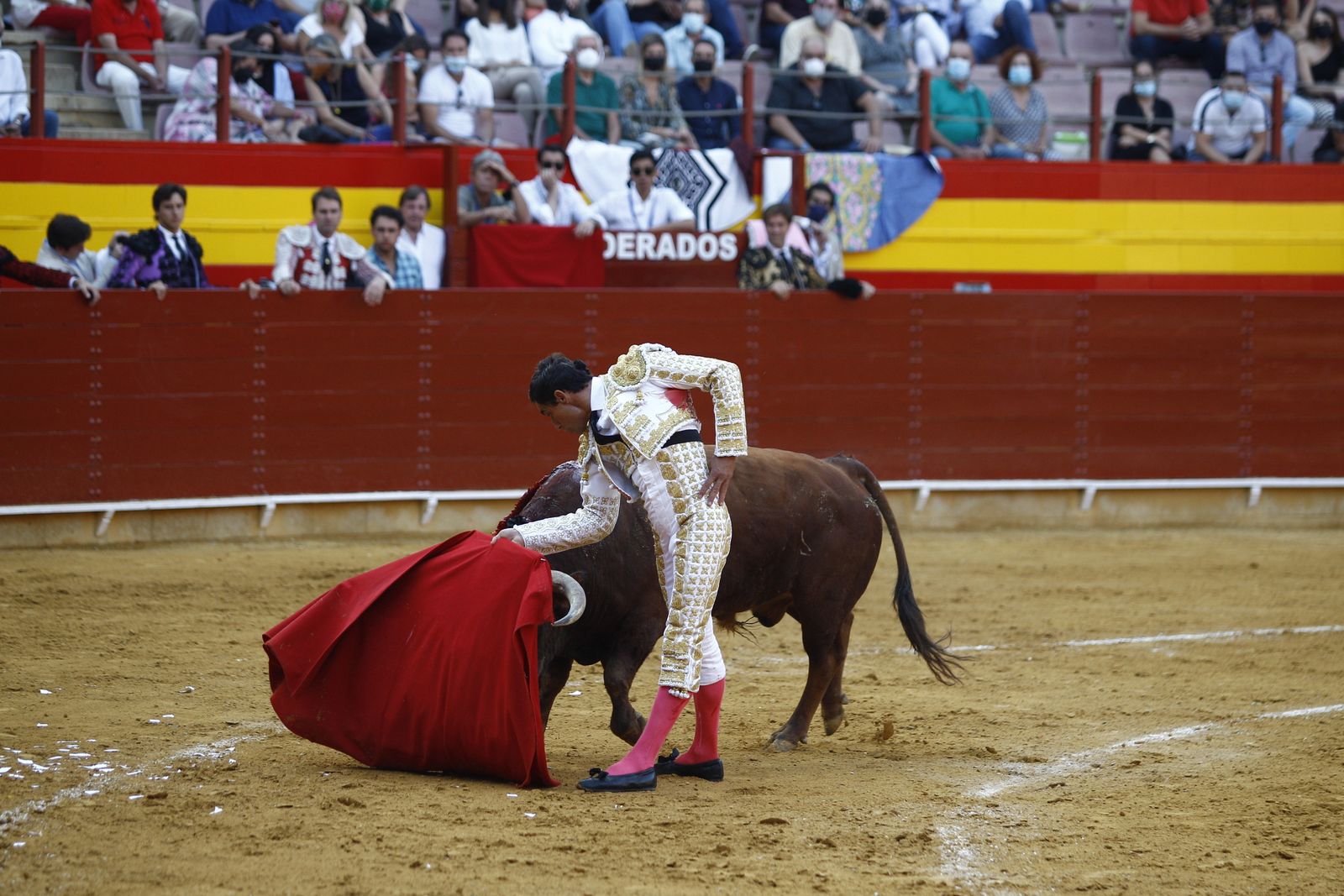 Fotogalería corrida de toros. Cayetano Rivera, Paco Ureña y Roca Rey. Roquetas de Mar.