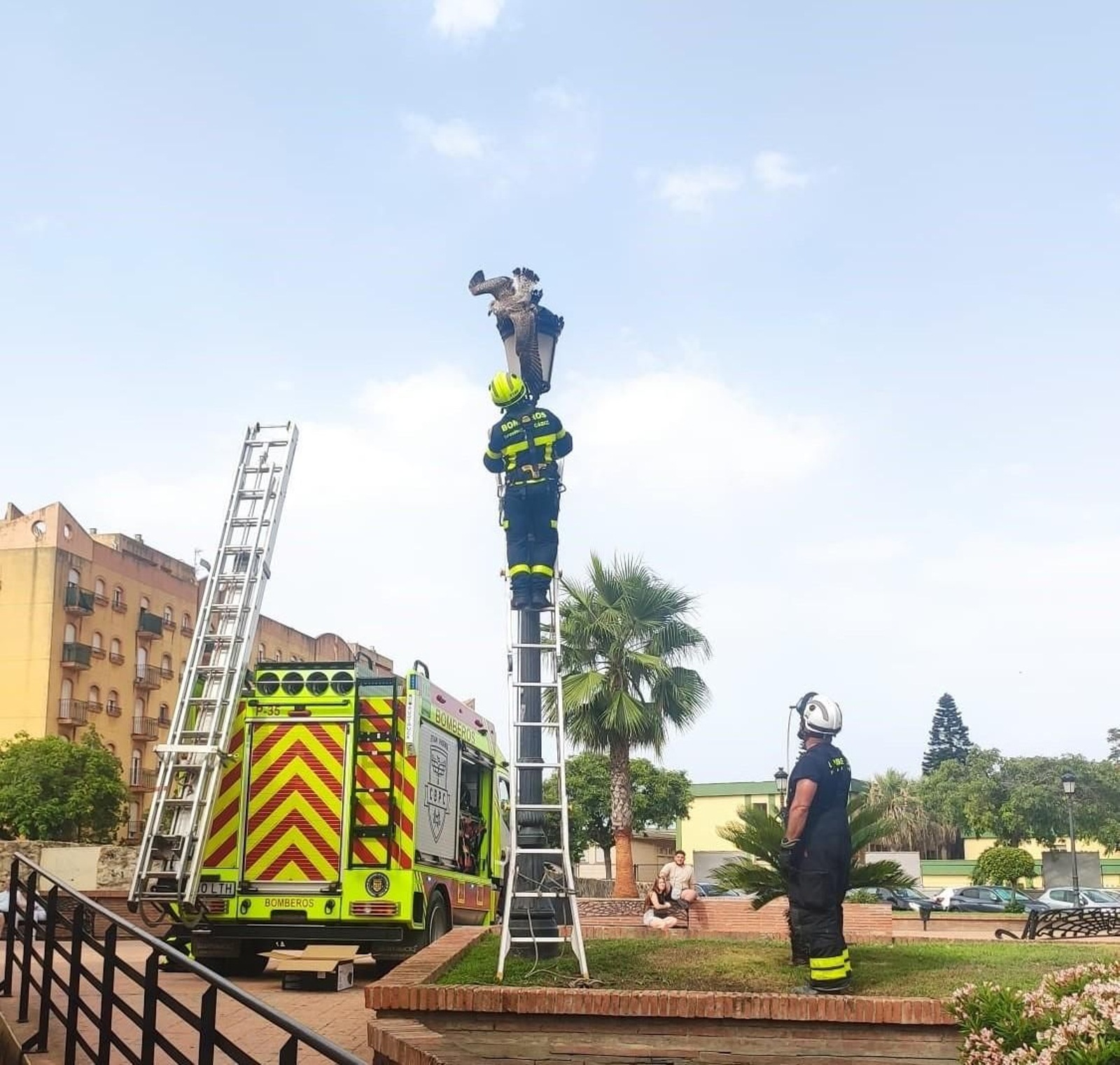 Los bomberos durante la intervención para ayudar a la gaviota.