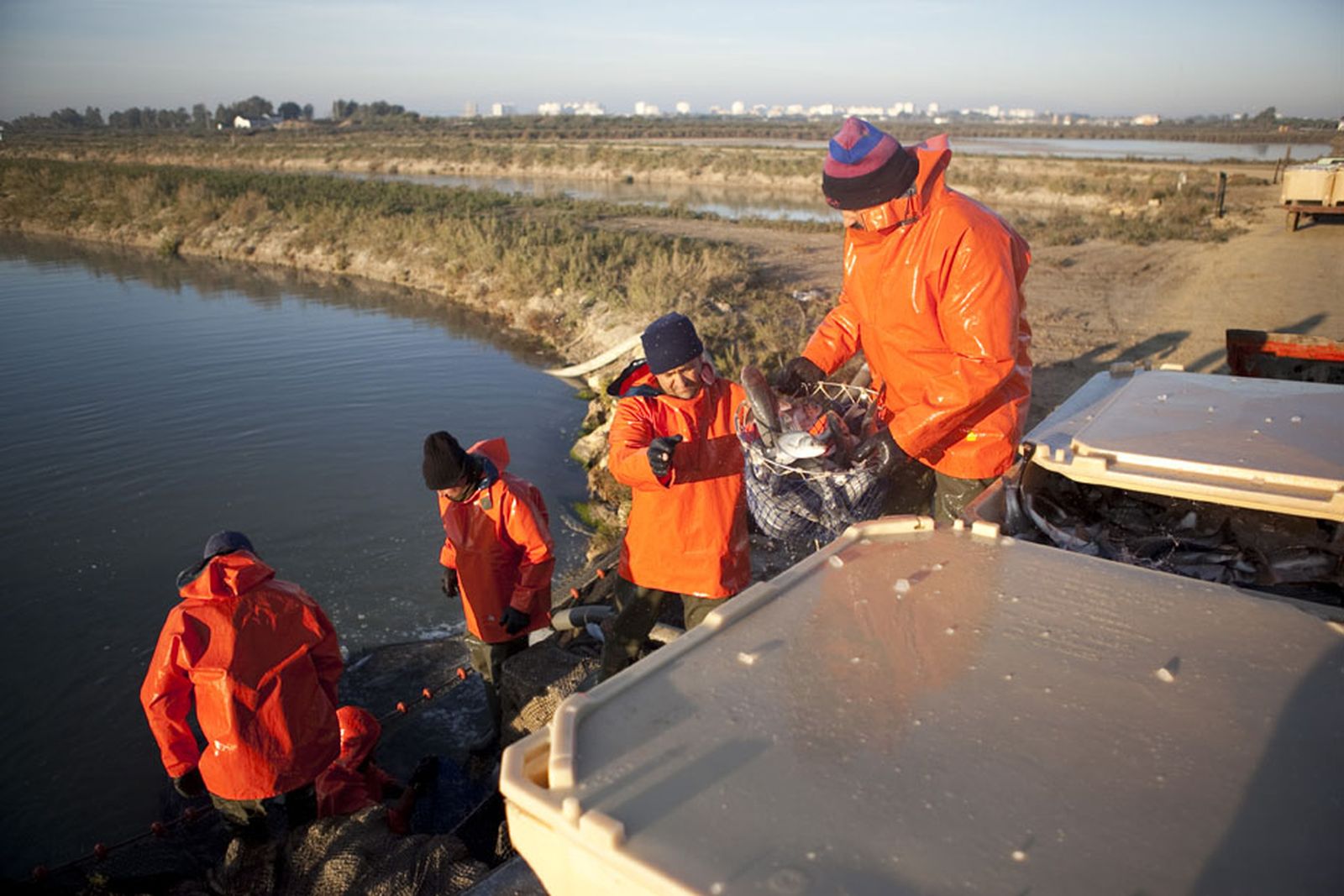 Acuicultura de estero, en la provincia de Cádiz, en una imagen de archivo.