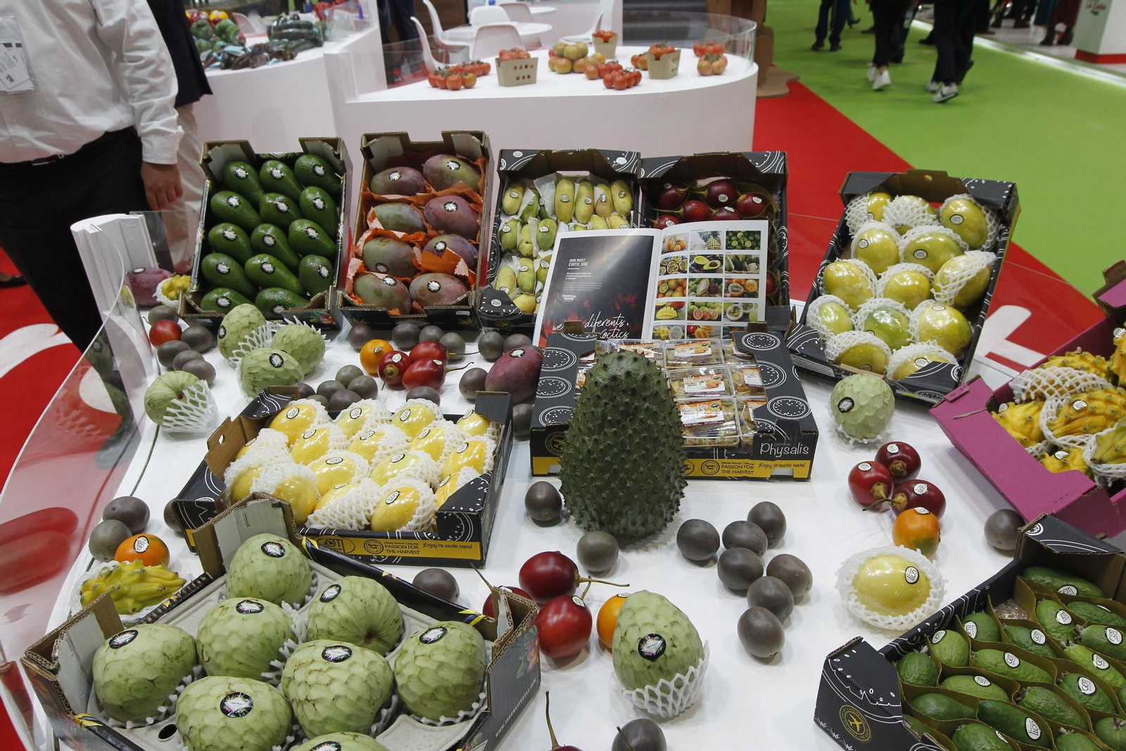 Fotogalería Fruit Attraction 2019. Madrid