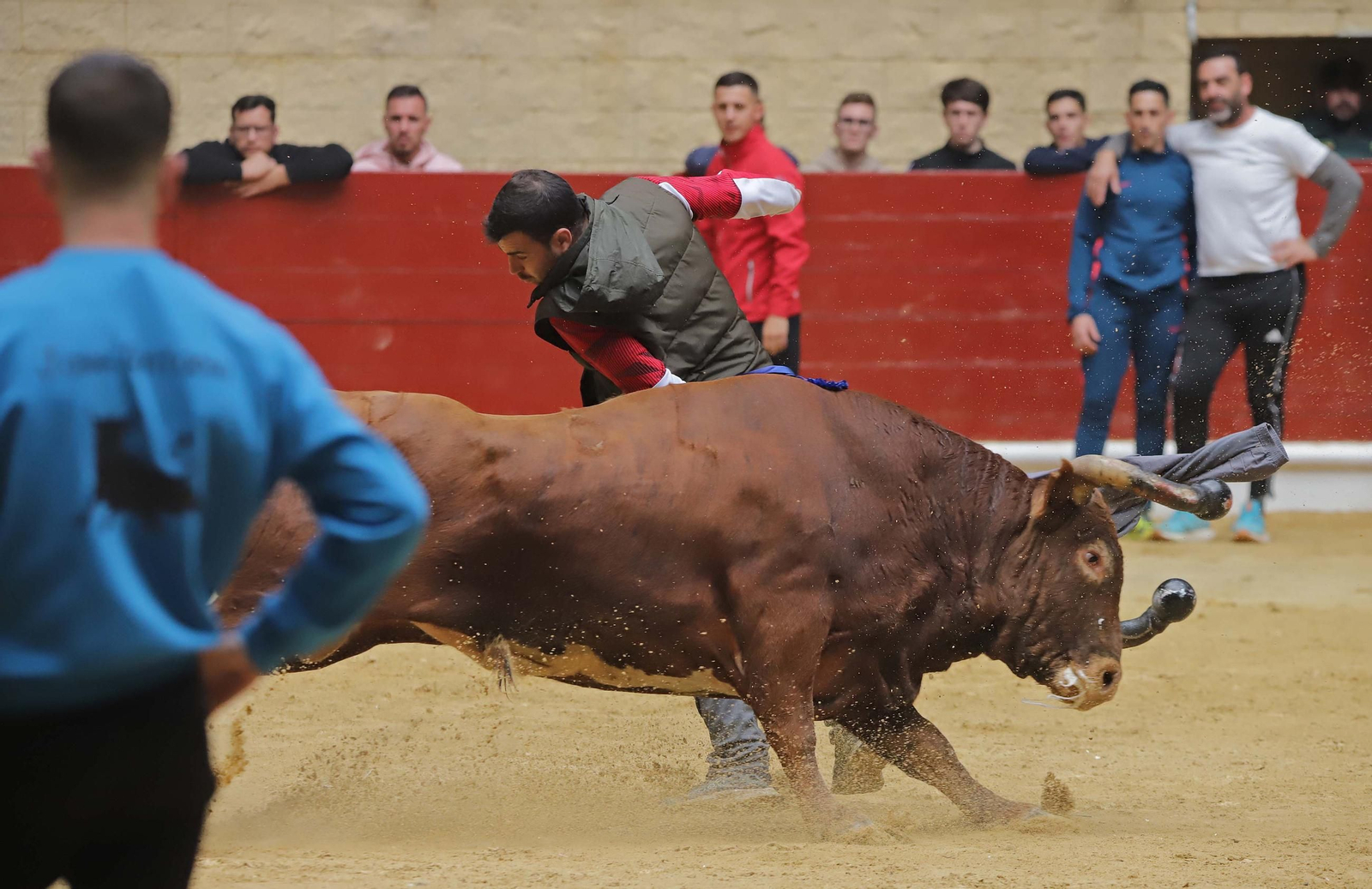 Fotos de los encierros del domingo del Toro Embolao en Los Barrios