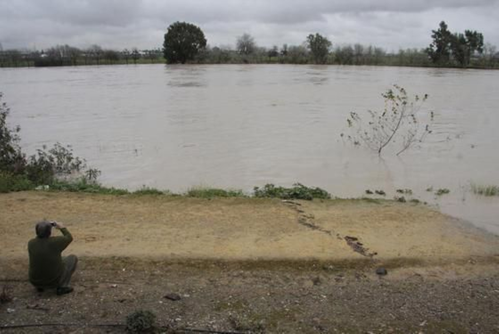 El río alcanza grandes niveles en San Juan de Aznalfarache.

Foto: Victoria Hidalgo