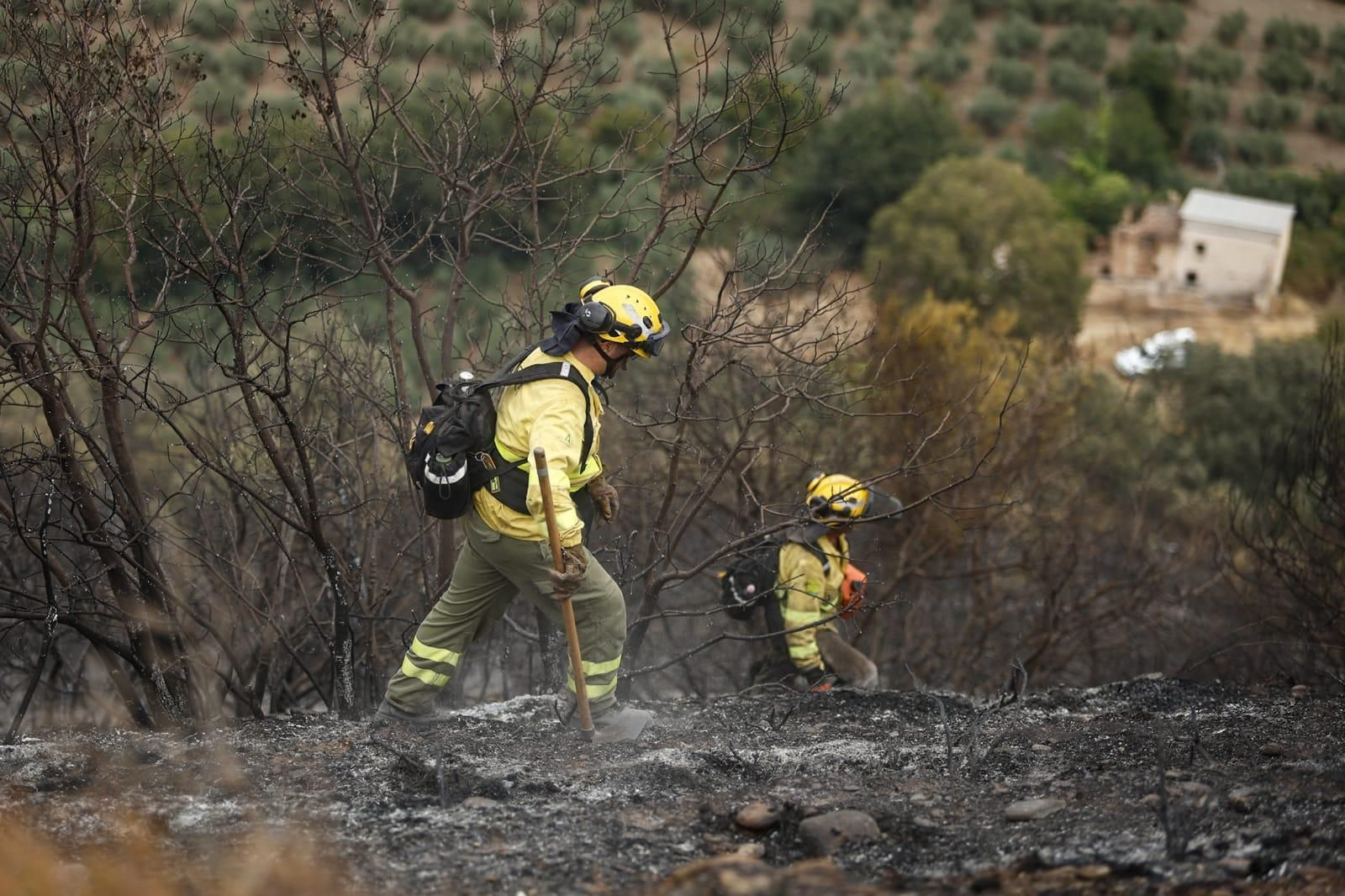 Las imágenes de la Fuente de la Bicha de Granada tras las llamas