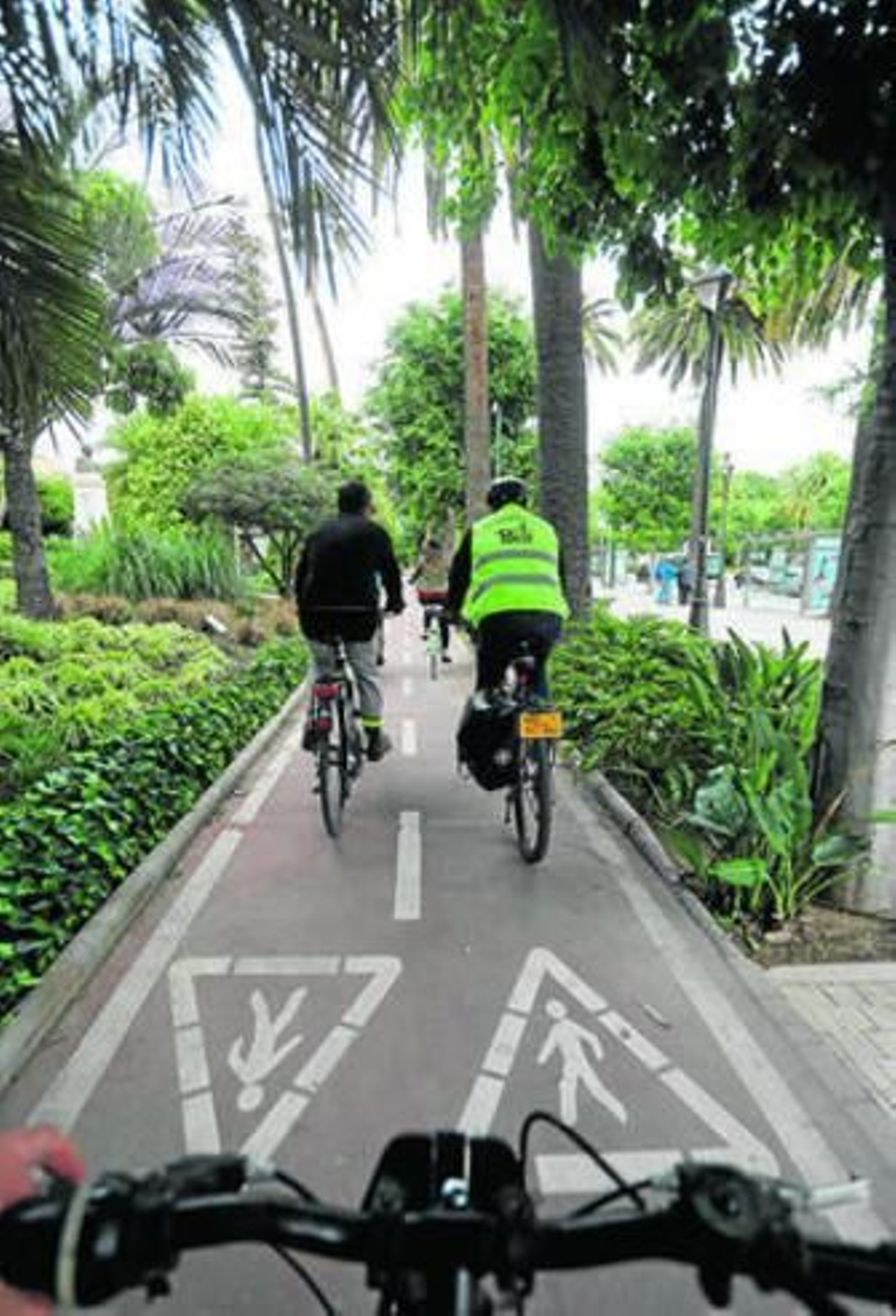 El carril bici del Paseo del Parque.