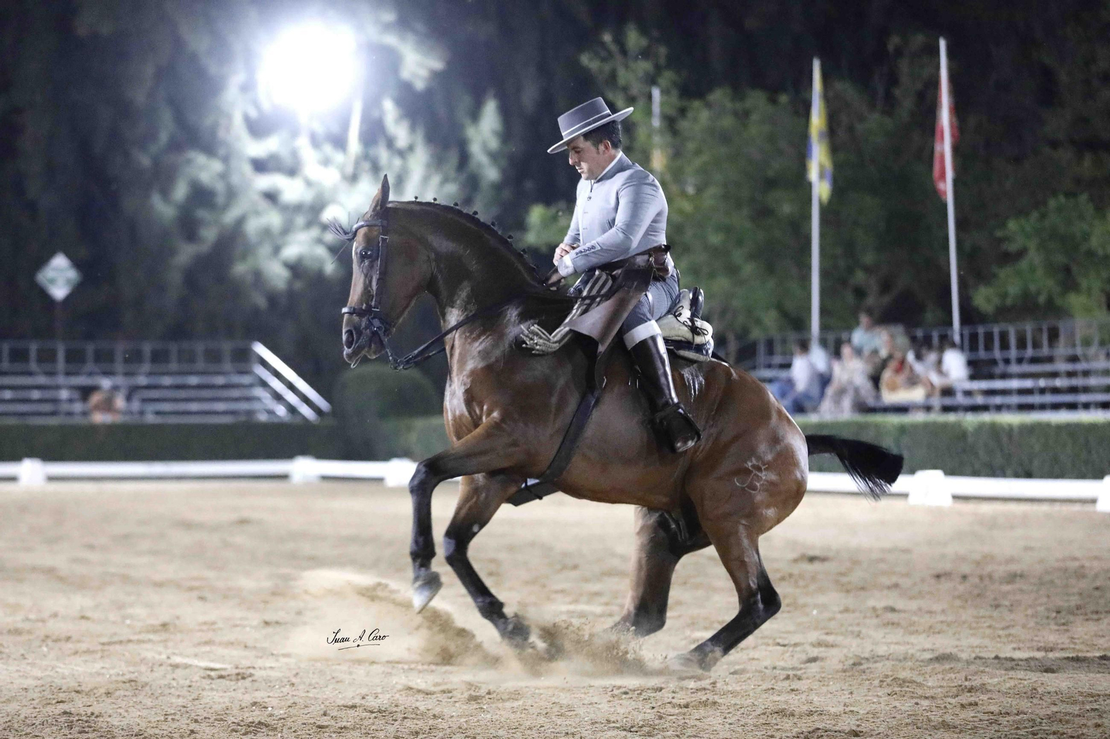 Amador Martín López monta a 'Maserati' para lograr el triunfo en el Memorial. Amador Martín López monta a 'Maserati' para lograr el triunfo en el Memorial.