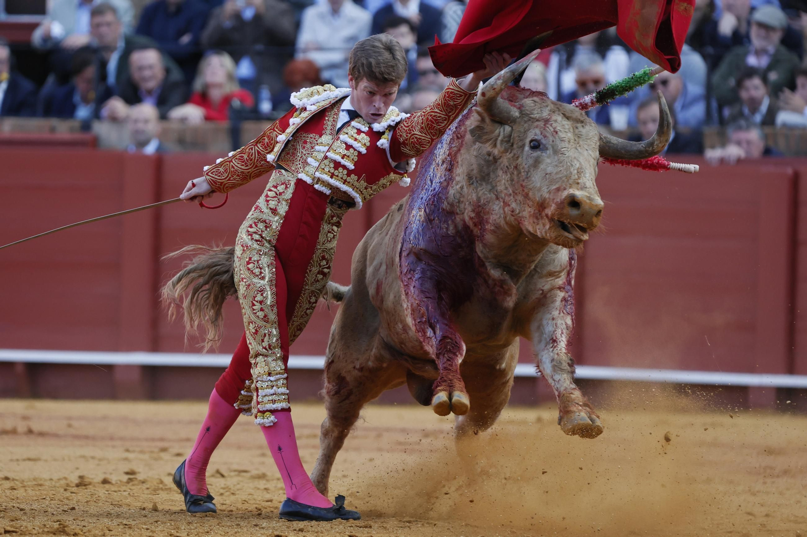 Las imágenes del festejo