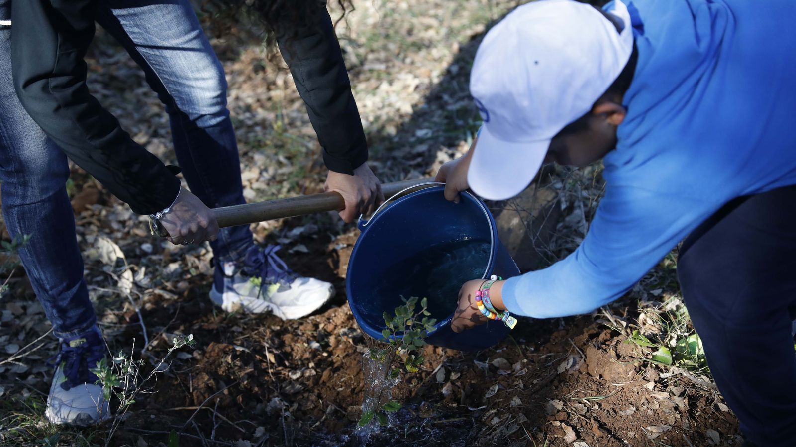 Niños siembran alcornoques en la finca El Palancar gracias a una iniciativa de Acerinox.