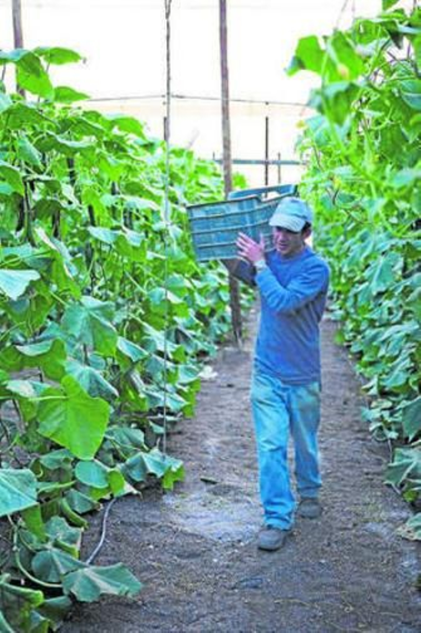 La afiliación de agosto ha caído al mínimo desde que comenzó la crisis.