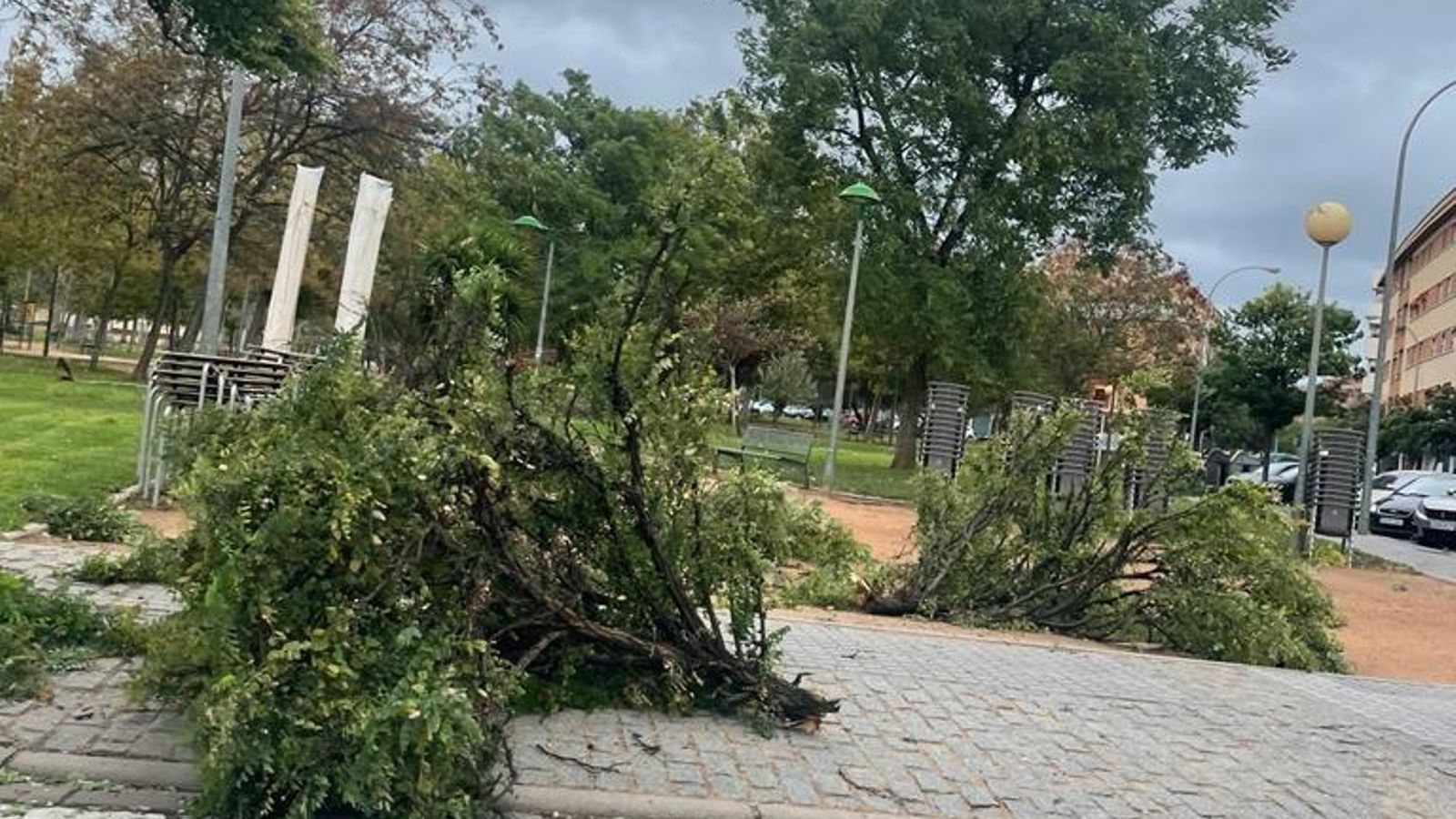 Varias ramas caídas en los jardines Huerta del Sordillo, en Arroyo del Moro.