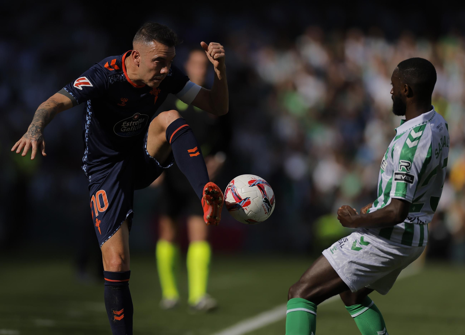 Las fotos del Betis - Celta