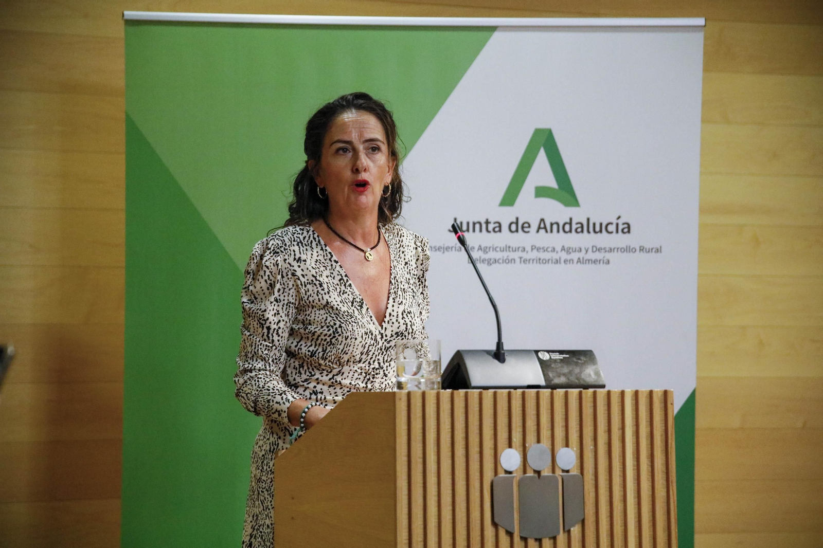 Las imágenes de las ayudas destinadas a la modernización de invernaderos