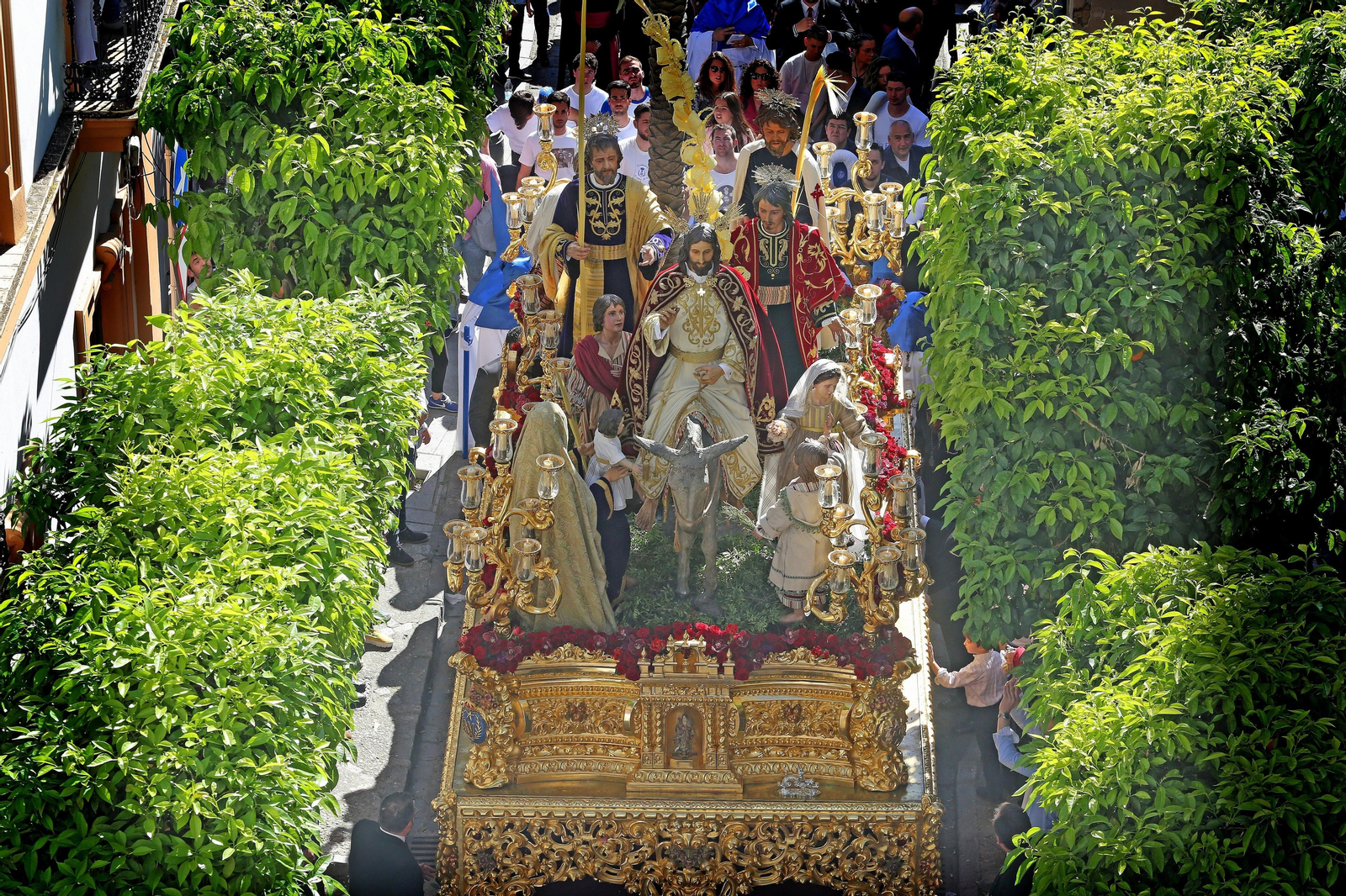 Las imágenes del Domingo de Ramos de Jerez