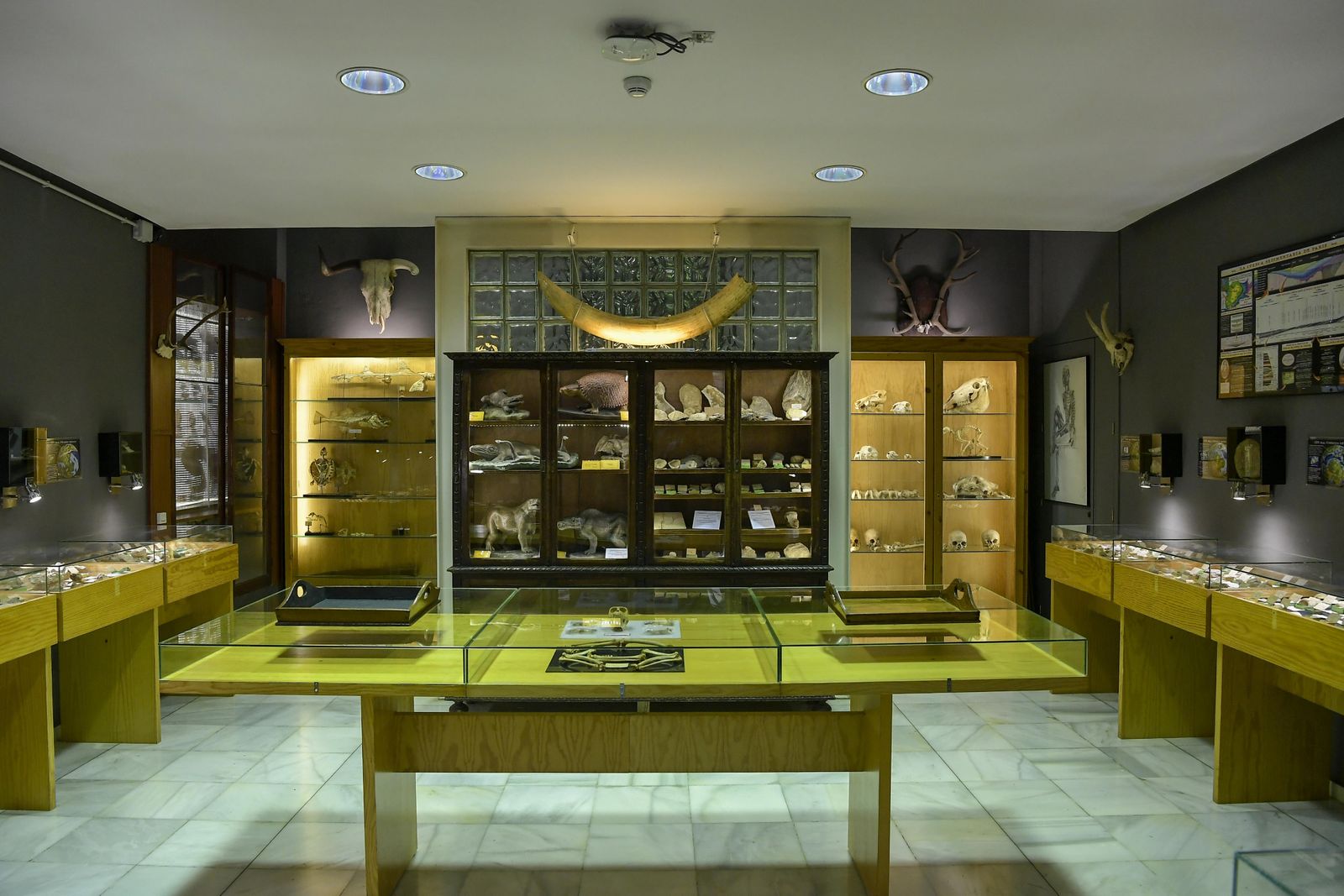 La inauguración del Museo de Ciencia del IES Padre Suárez de Granada, en imágenes