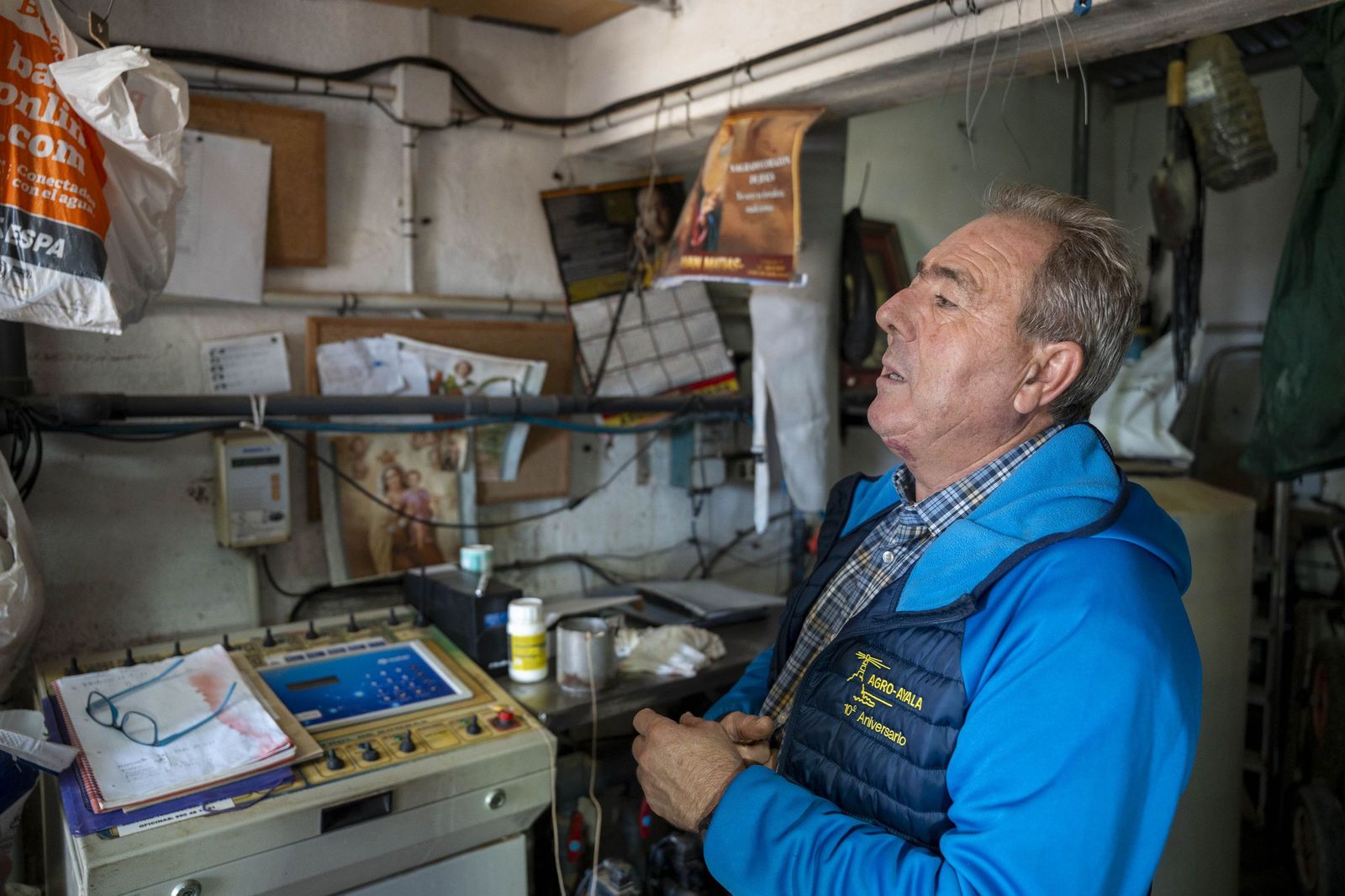 La primavera se planta en invierno entre sandías y tomates almerienses