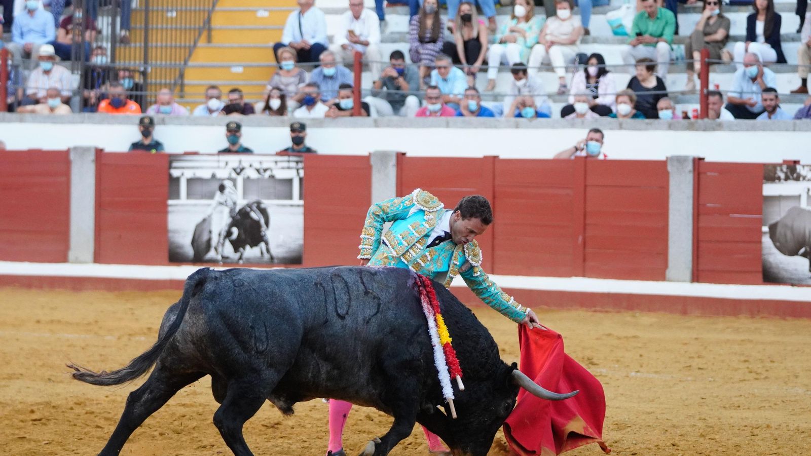 Rafaelillo en la plaza pozoalbense.