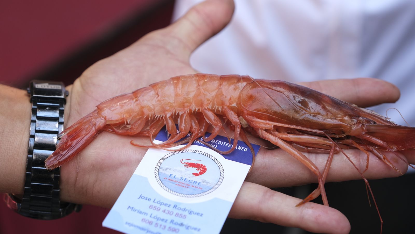 Imágenes del encuentro de gastronomía de la Feria de Almería 2023