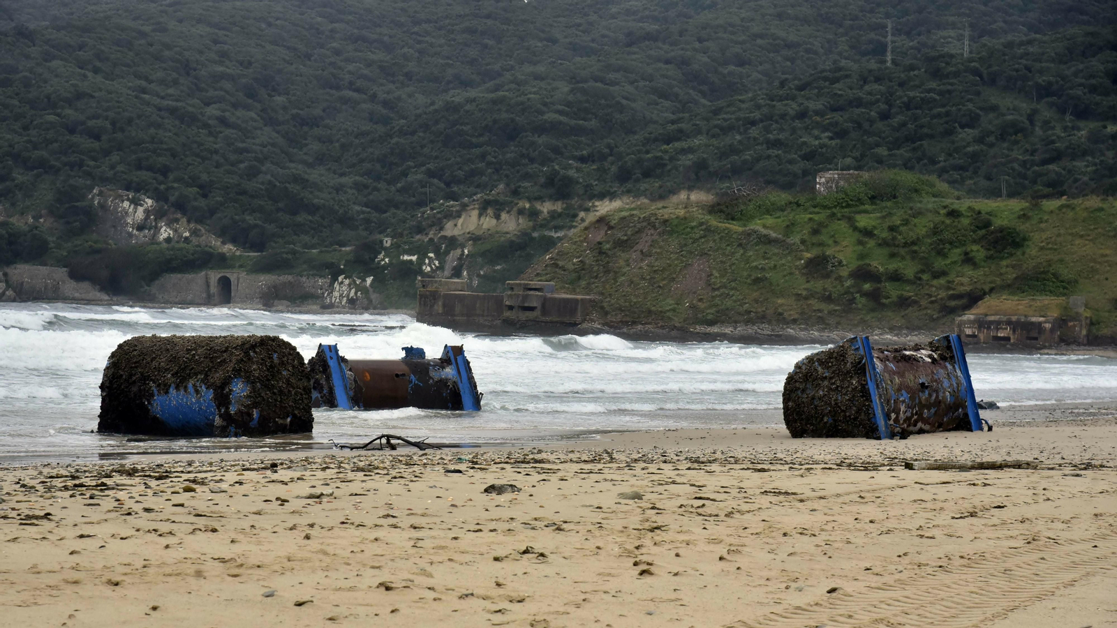 Mejilloneras varadas en la playa de Getares