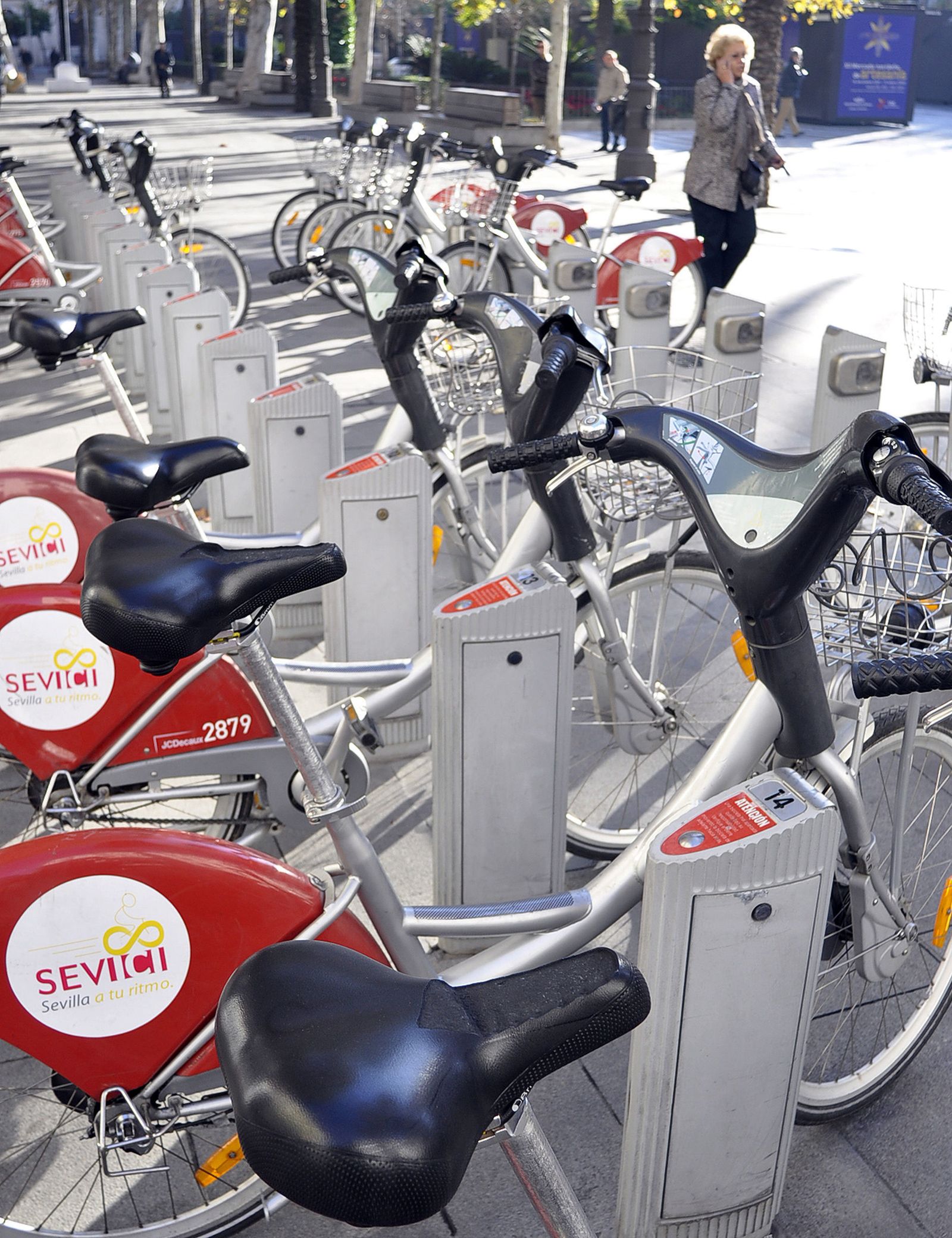 Bicicletas de alquiler en Sevilla.
