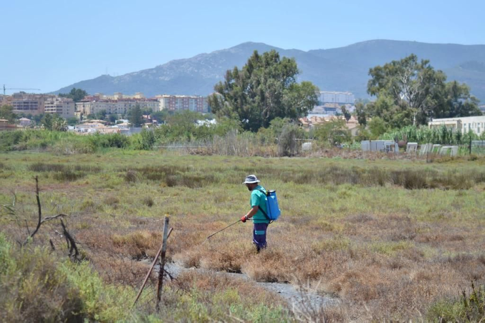Campaña de fumigación en El Rinconcillo, este miércoles.