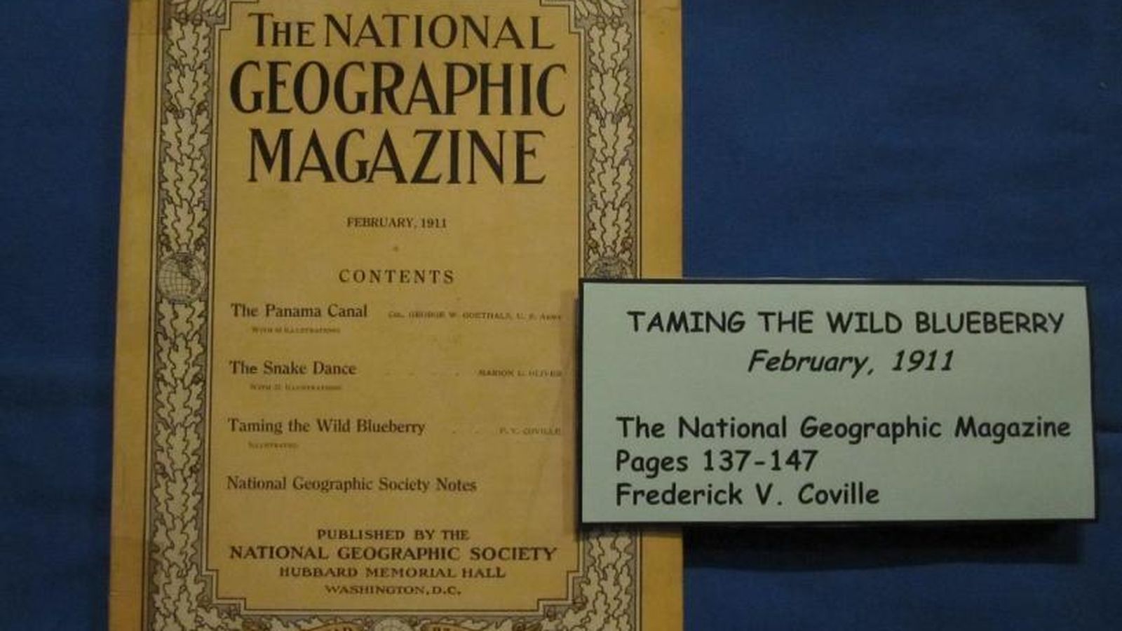 Artículo en el National Geographic