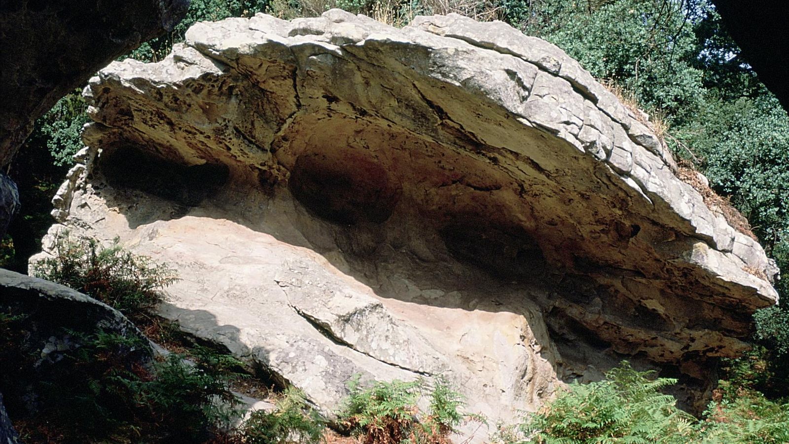 El entorno de El Bacinete El entorno de El Bacinete