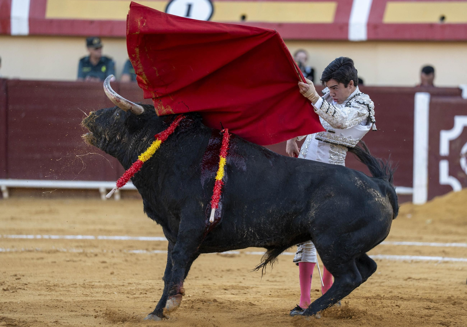 Las imágenes de los toros en Vera