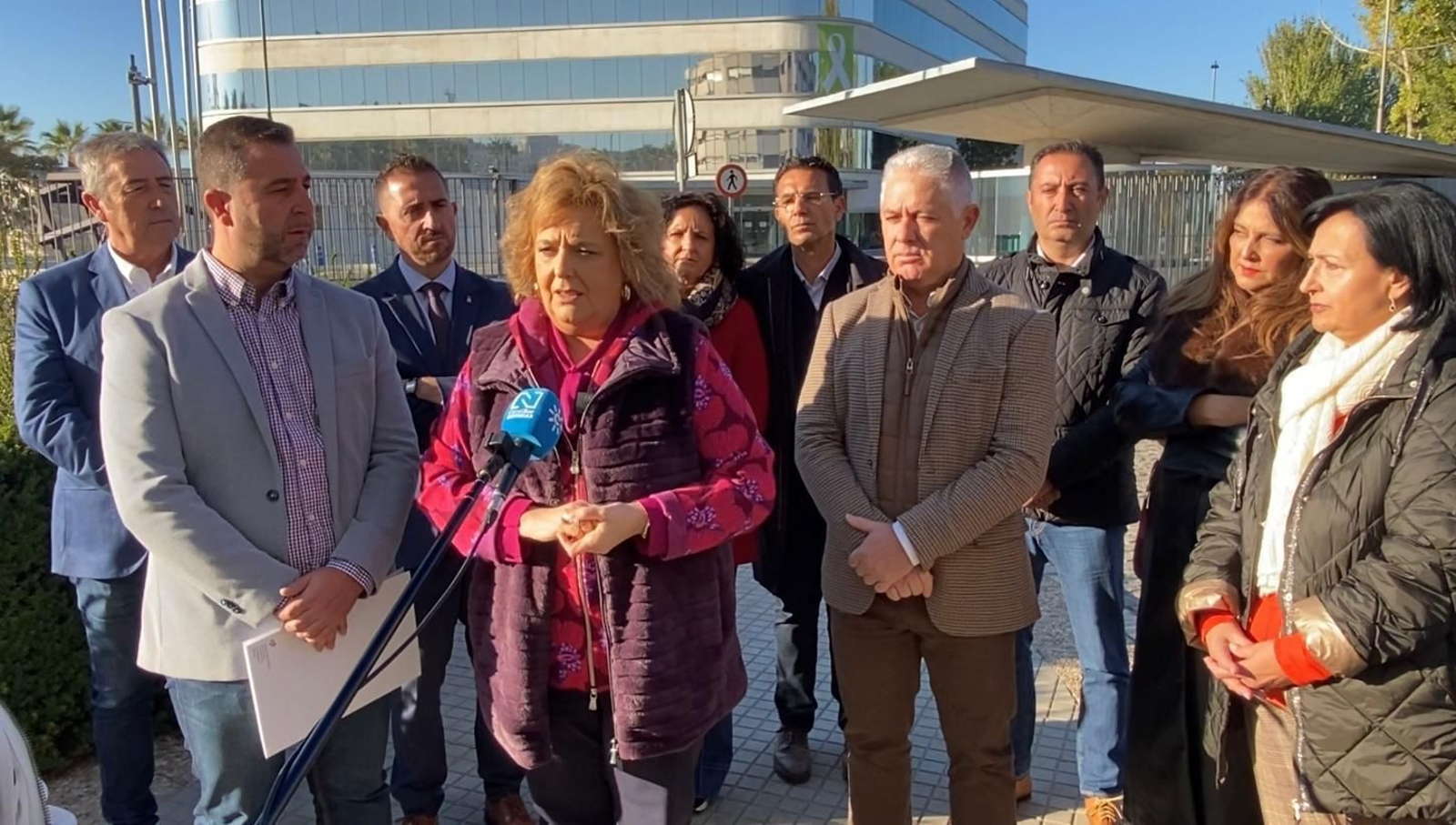 Los miembros del grupo socialista en la Diputación de Granada