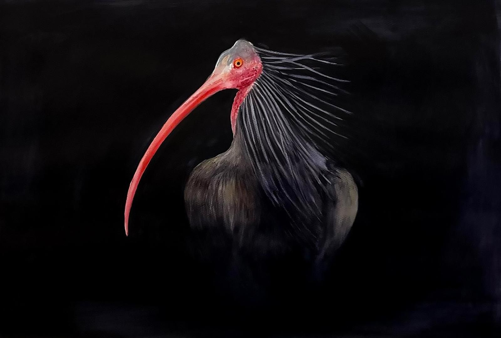 Obra de Pablo Fernández-Pujol.