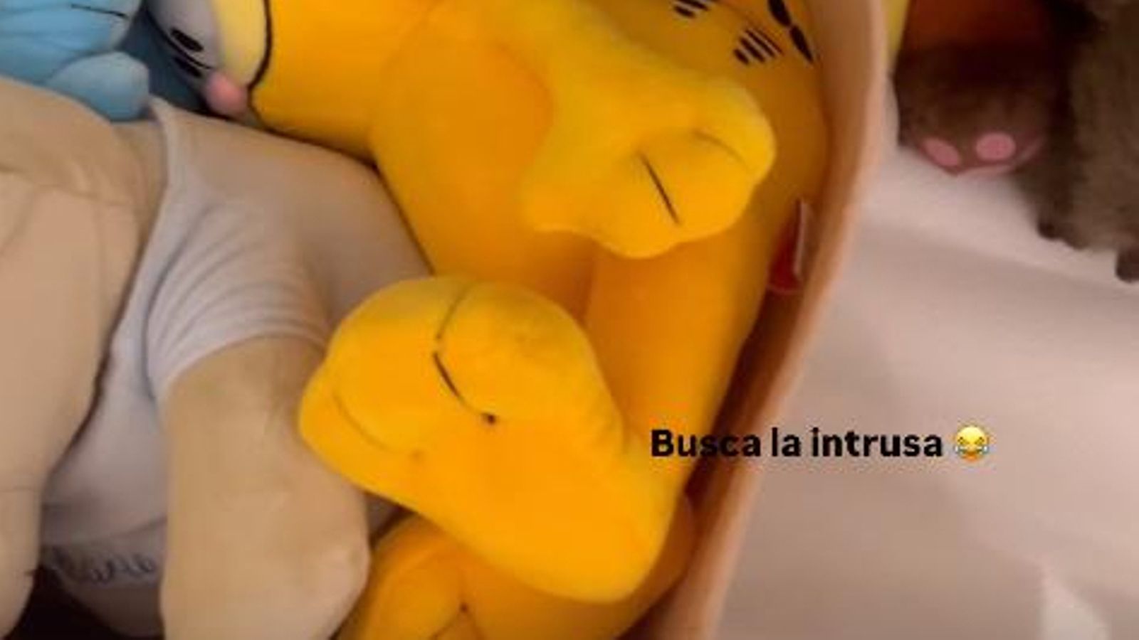 Imagen donde aparece el peluche con el nombre del hijo de Alejandra Rubio y Carlo Constanzia
