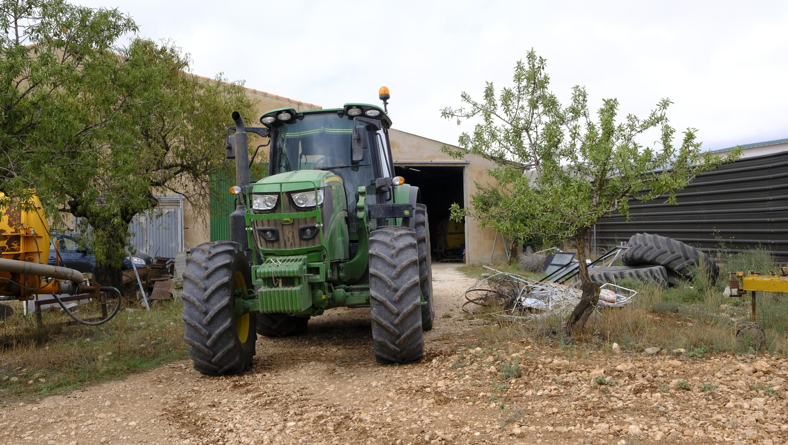 Imágenes de la almendra ecológica de Chirivel