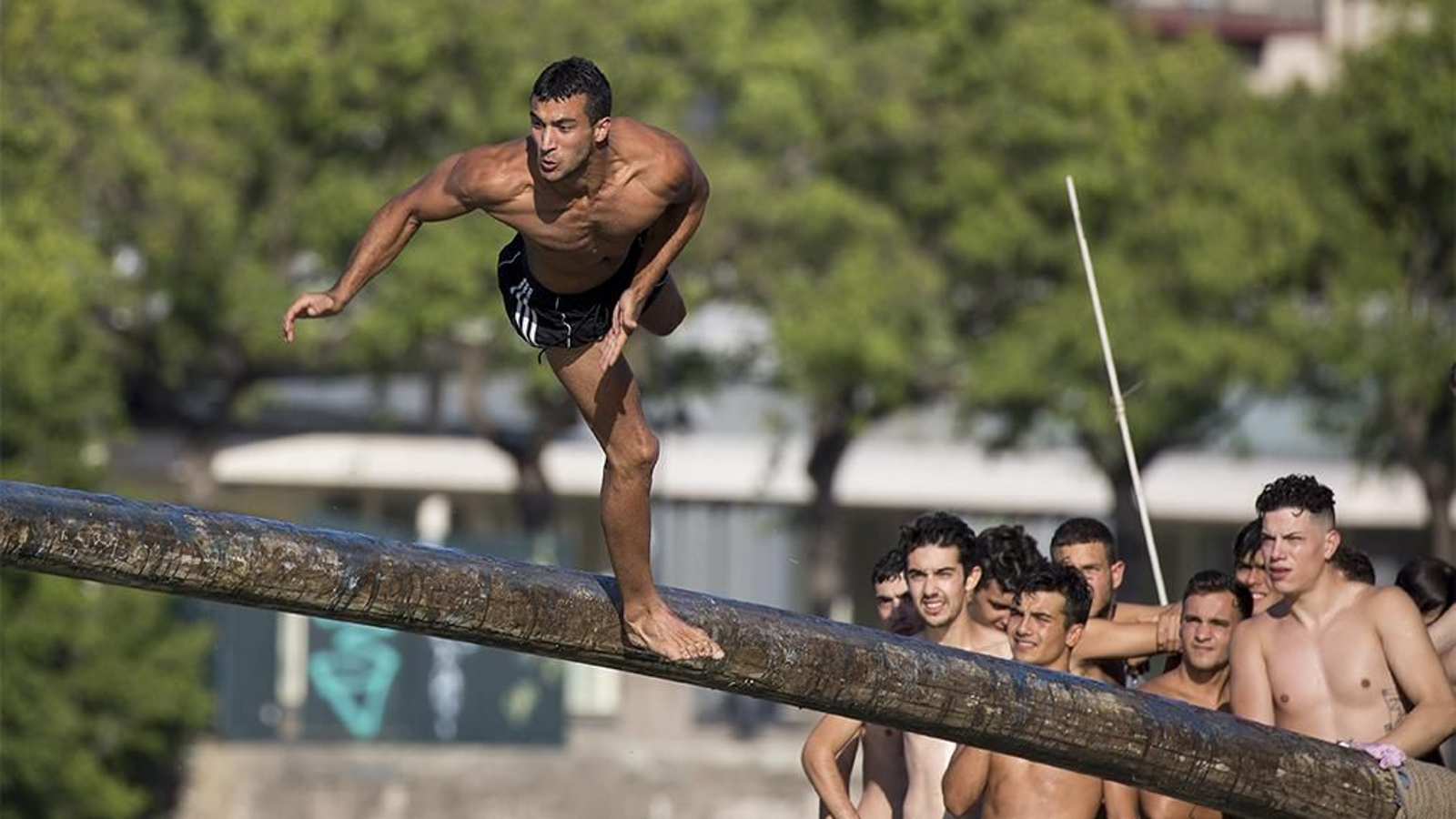 las imagenes de la cucaña