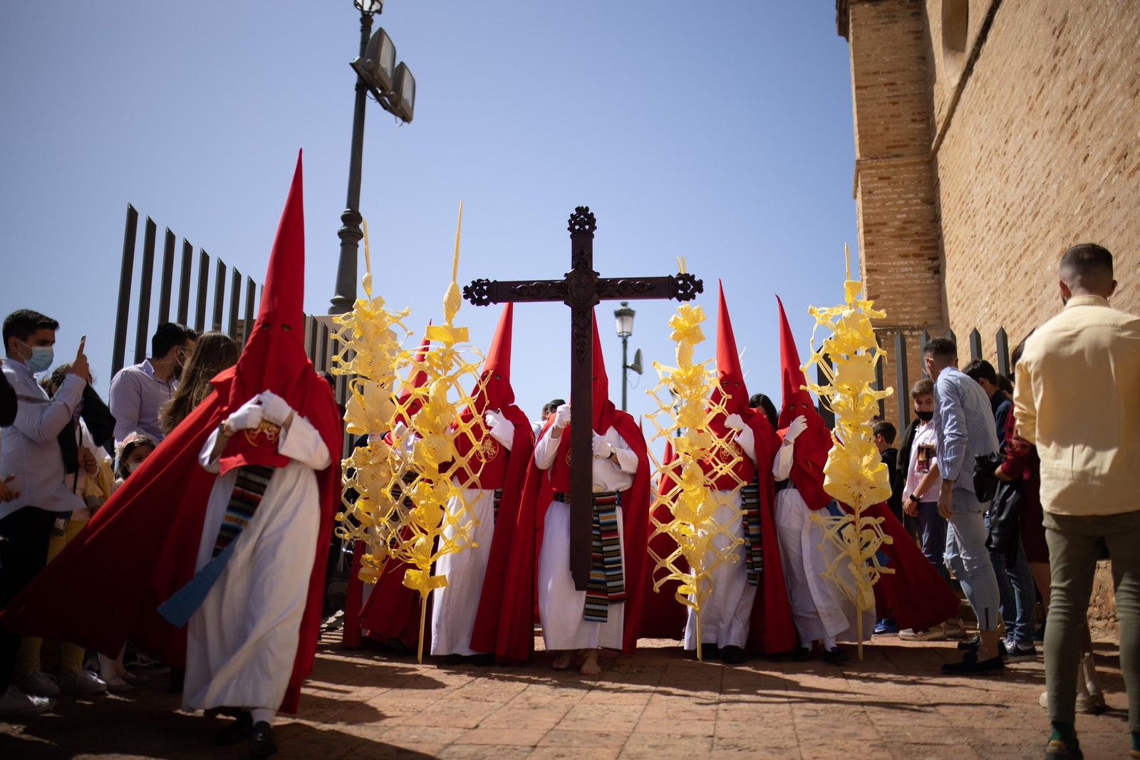 Imágenes del Domingo de Ramos: Hermandad de la Borriquita