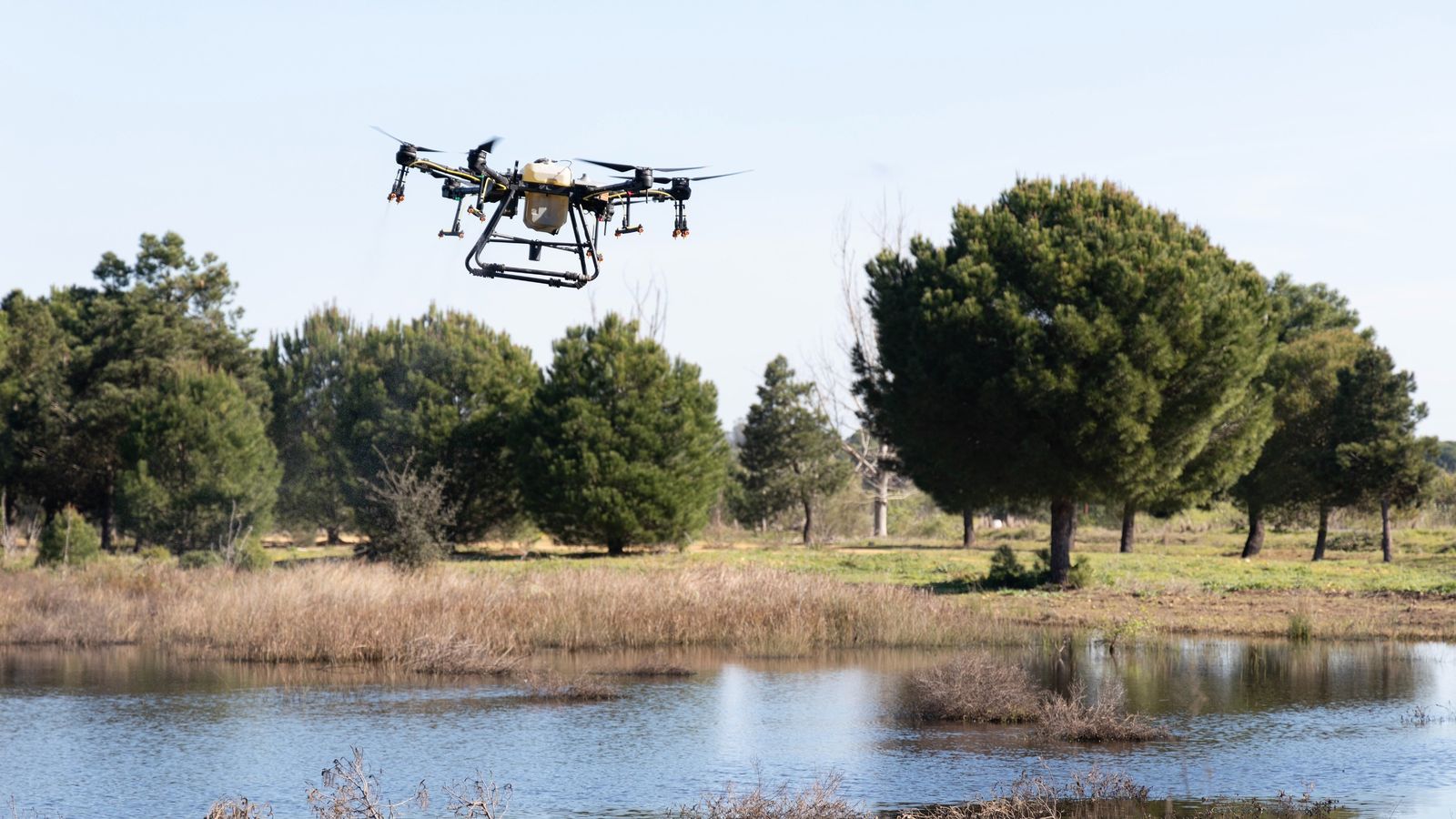 El dron encargado de fumigar en zonas donde no es posible con el cañón terrestre sobrevuela la laguna de San Lázaro.