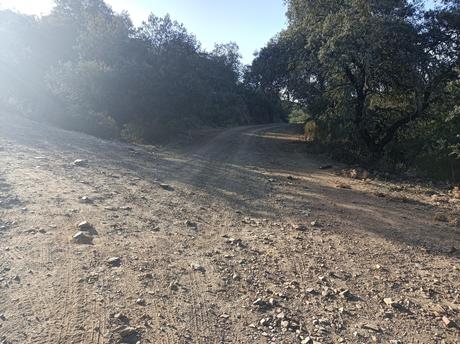 Fotos de la ruta de Los Brezales-Umbría de Santa Fe en el Ronquillo