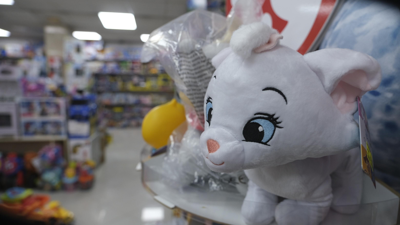 Imágenes de Superjuguete La Cañada, el paraíso para los niños