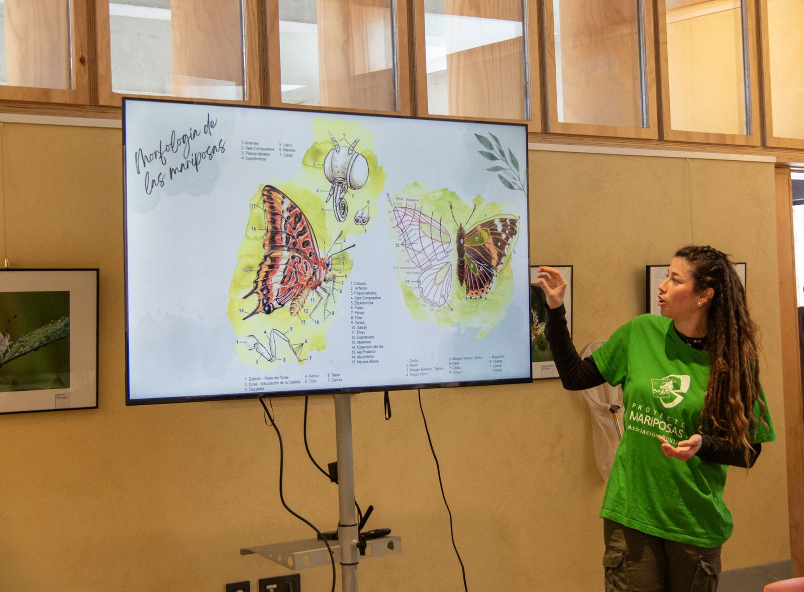 Cristina Pérez, una de las responsables del cuaderno medioambiental, explicando a los asistentes la morfología de las mariposas