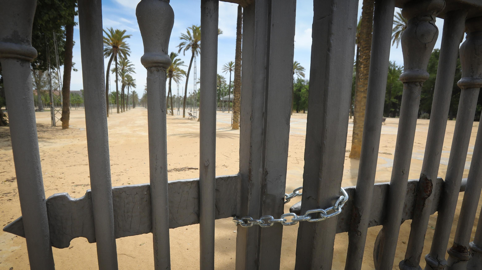 Cae un árbol en una casa por el fuerte temporal de viento que azota Jerez