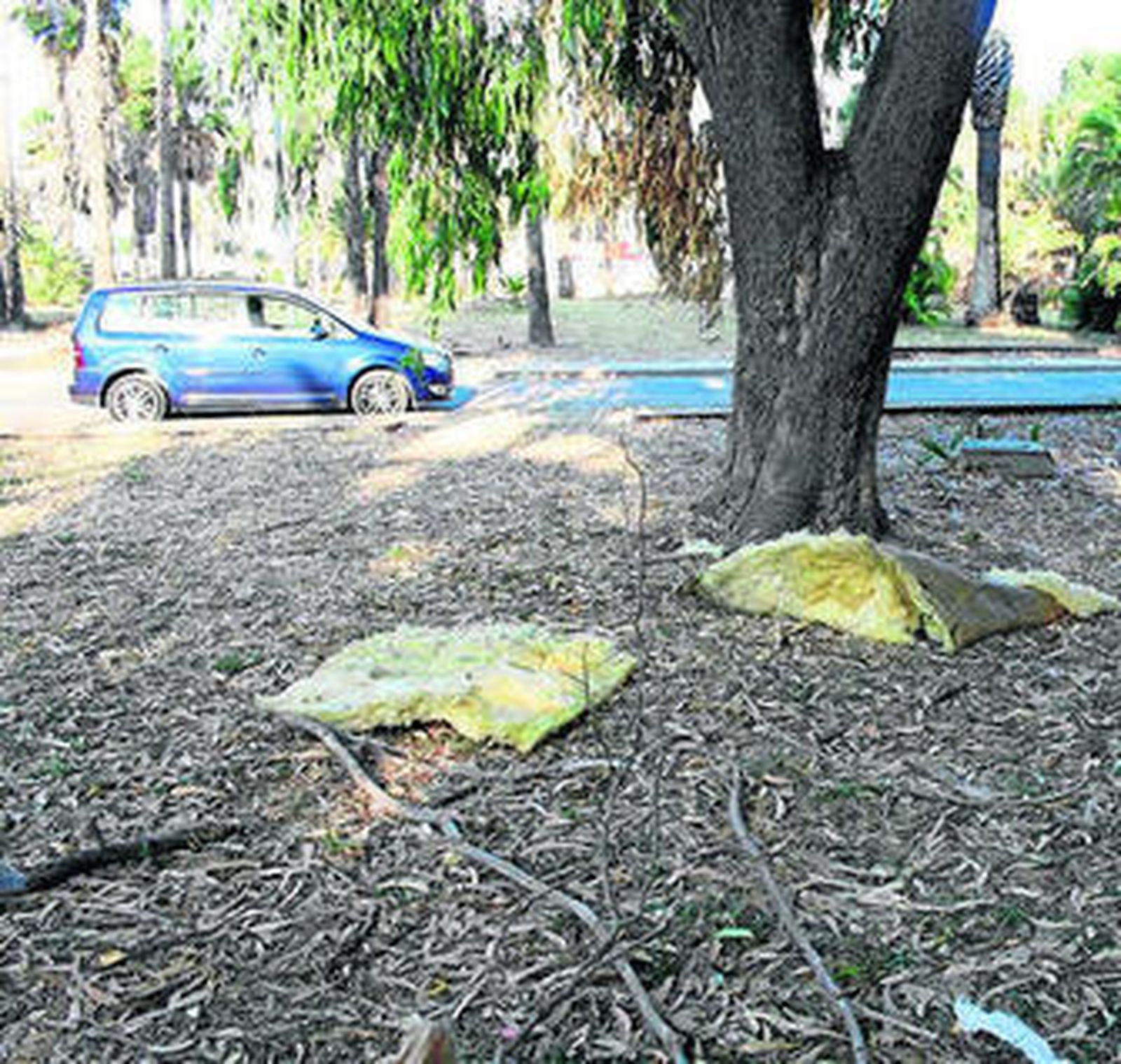 Parte del aislante esparcido por el parque.