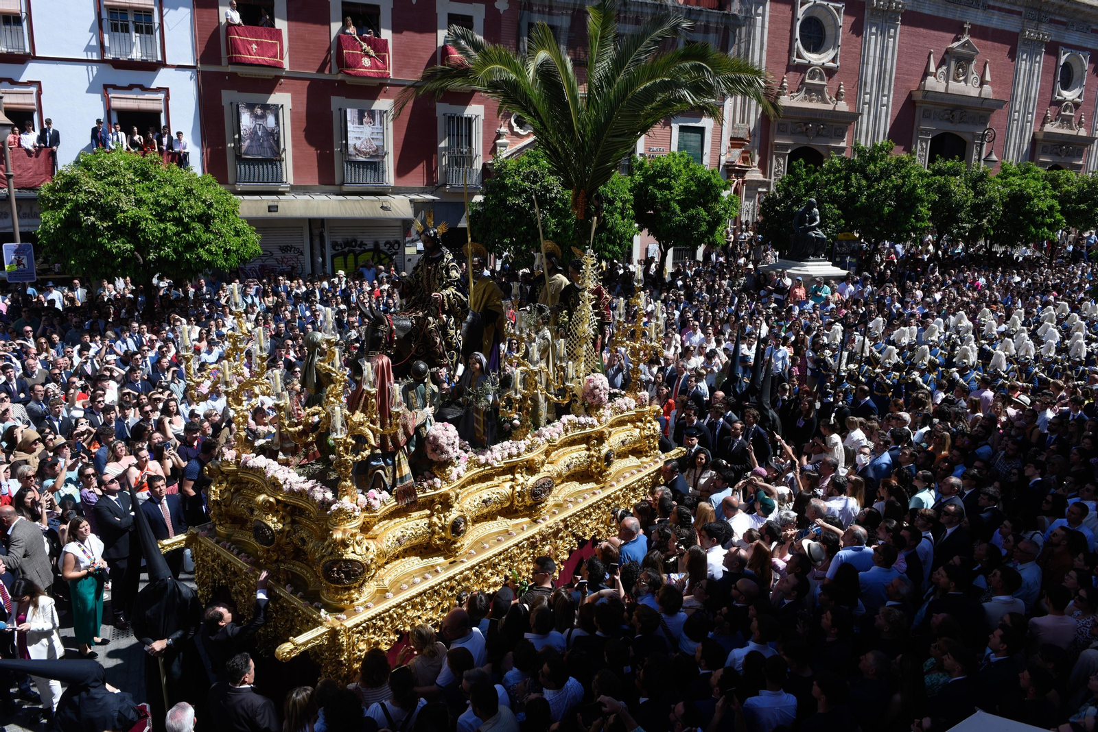 La Hermandad de La Borriquita, en imágenes