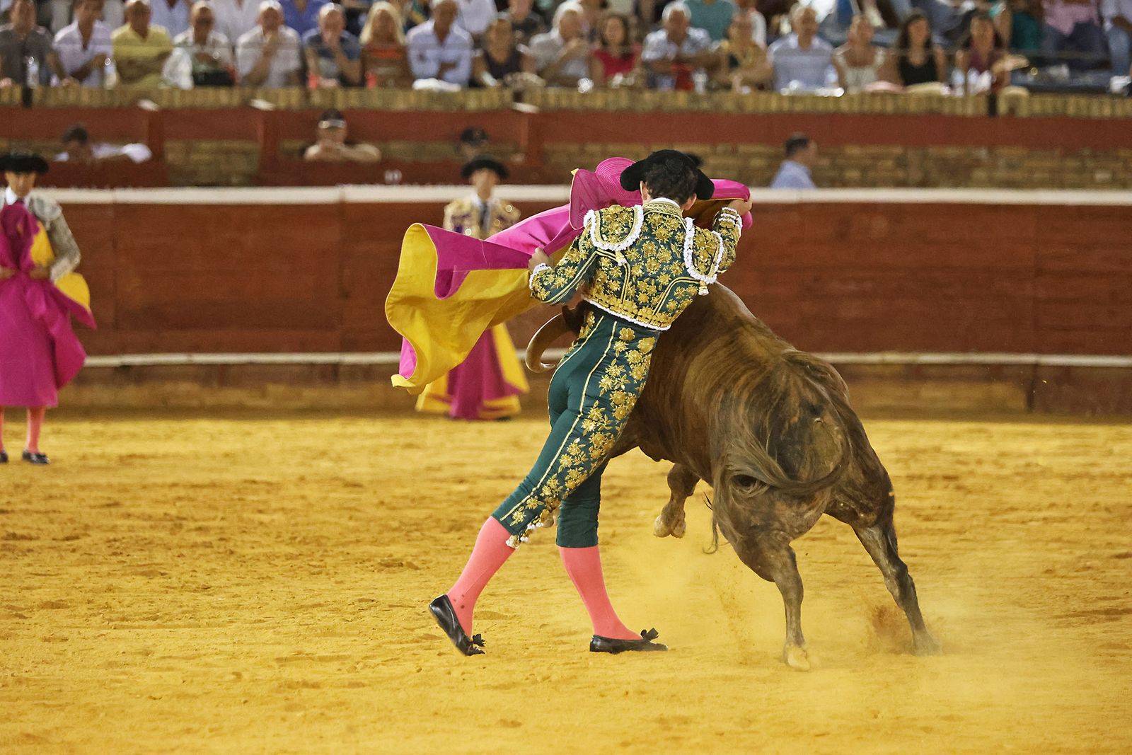Toros La Merced 2024 Novillada con picadores(
