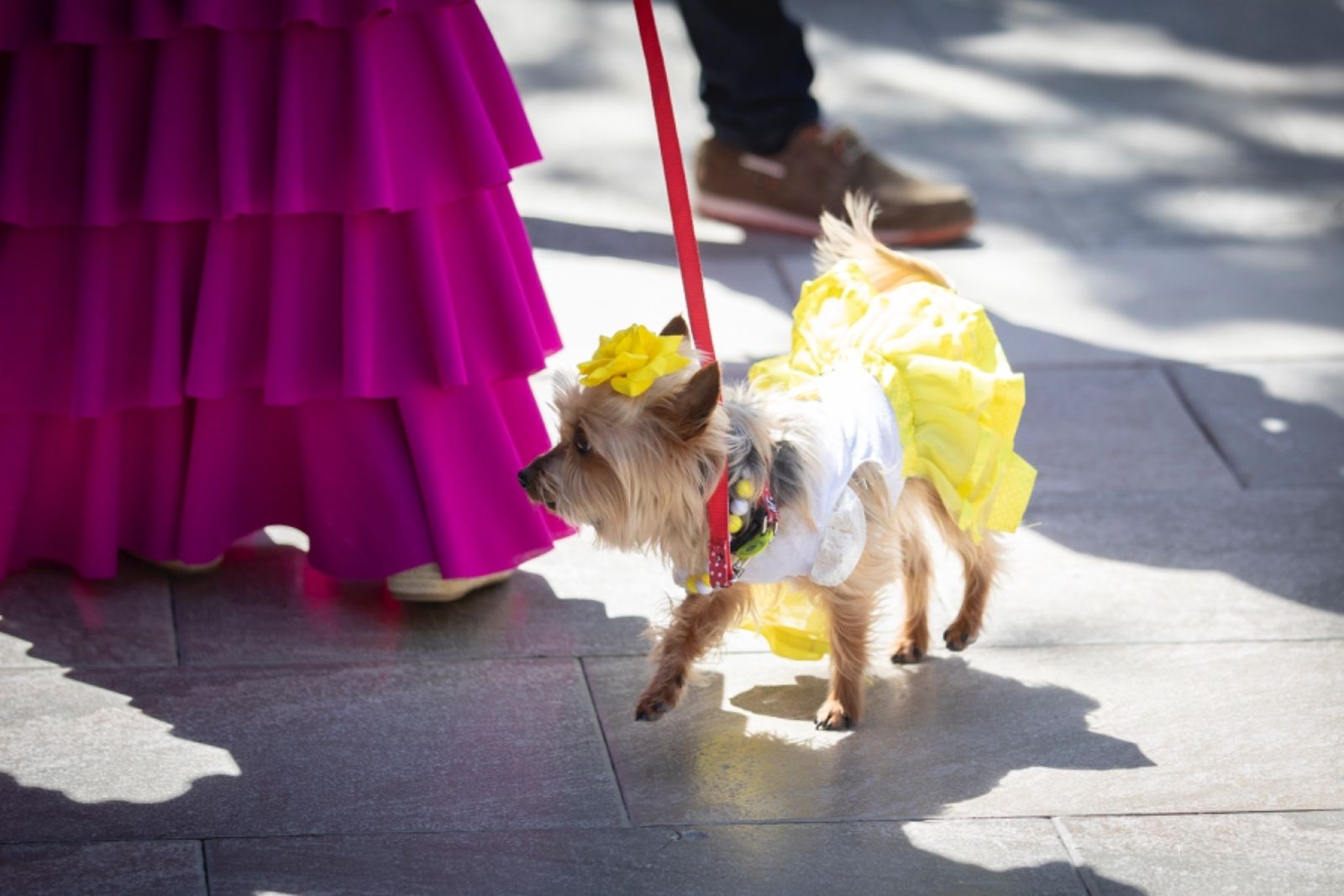 Los mejores momentos del primer día de Cruces en Granada en fotos